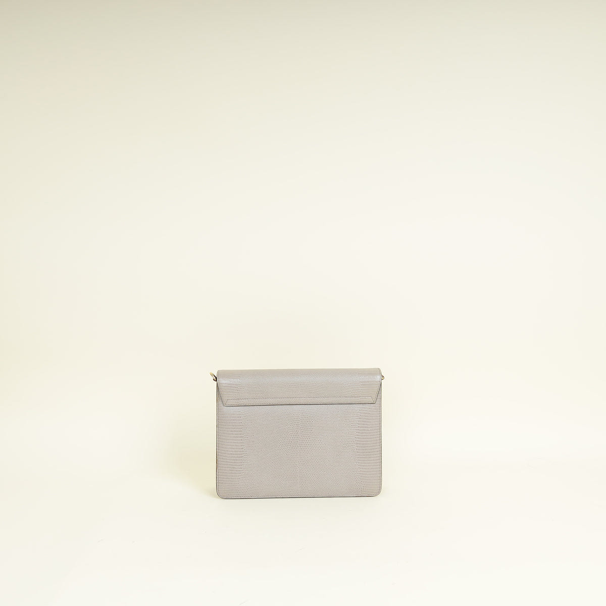 Dolce & Gabbana Grey Iguana Print Lucia Flap Shoulder Bag