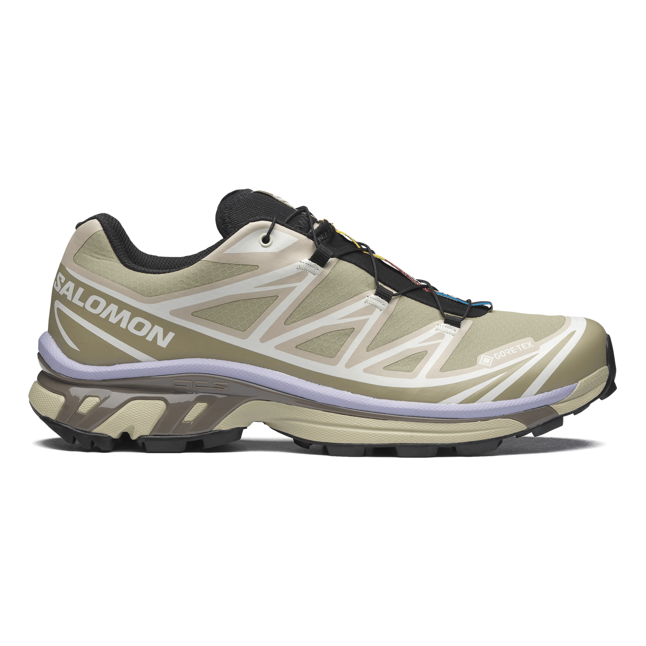 Salomon Men's XT - 6 Gore - Tex Eucalyptus/Silver Sage