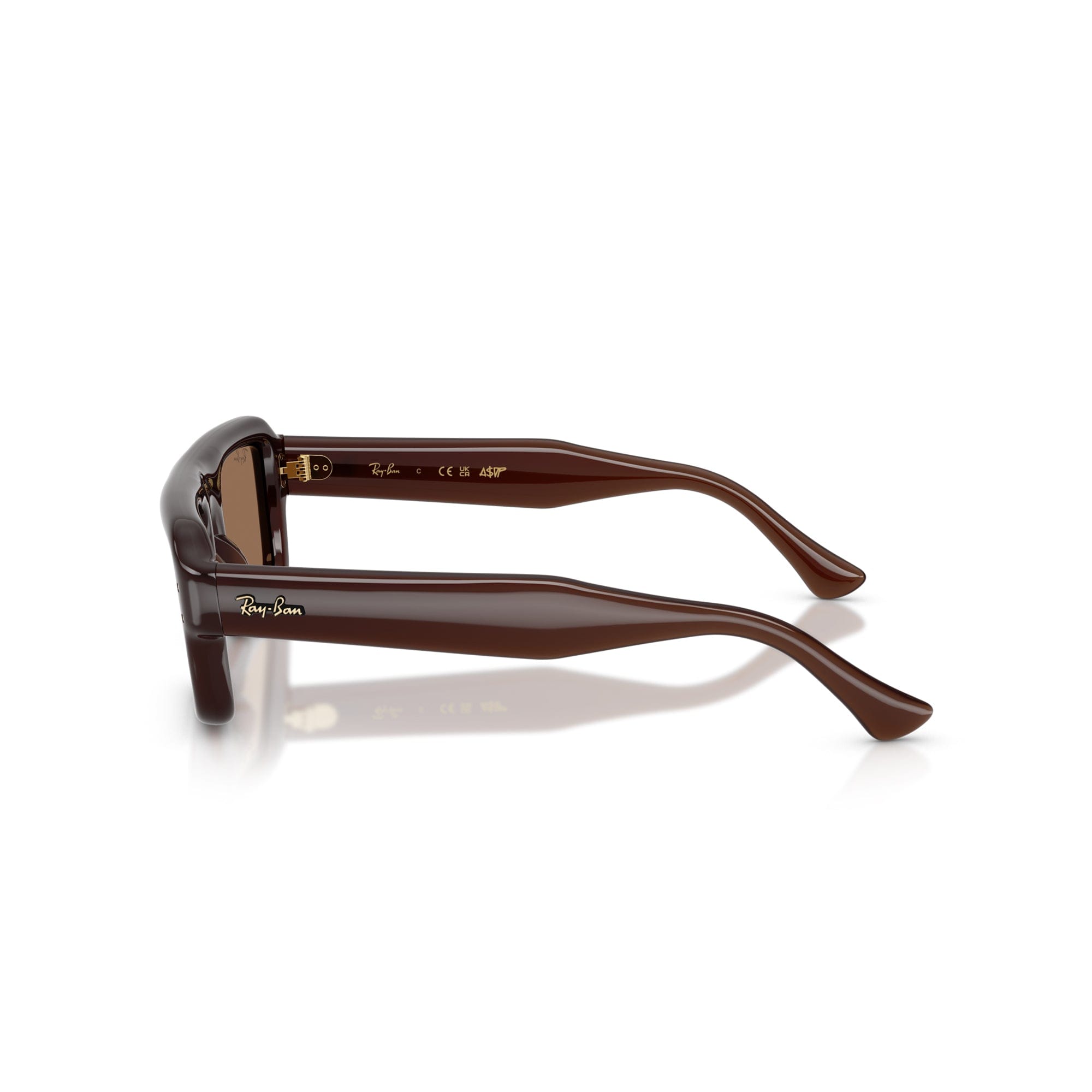 Ray - Ban x A$AP Rocky Flacko Puffer Transparent Brown Frame W/ Brown Lens Sunglasses