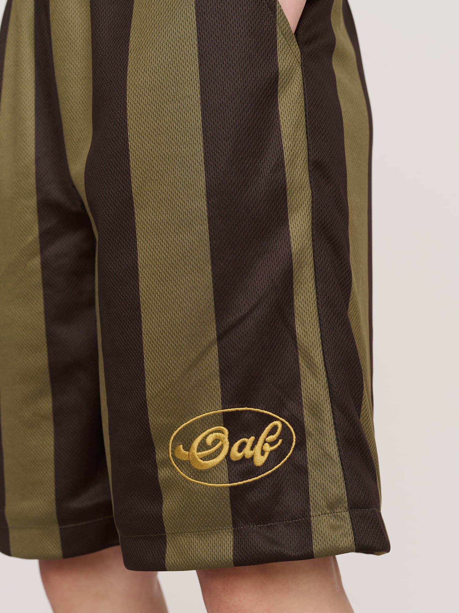 Slam Dunk Stripe Mesh Shorts