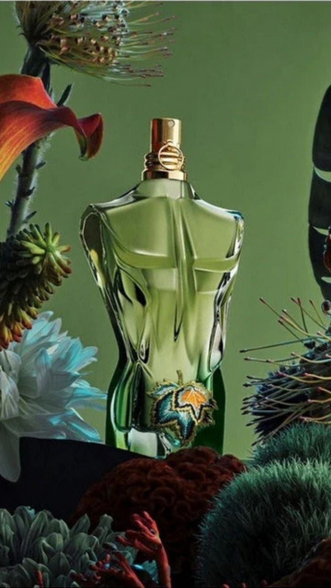 Jean Paul Gaultier Le Beau Cologne By Jean Paul Gaultier Eau De Toilette Spray