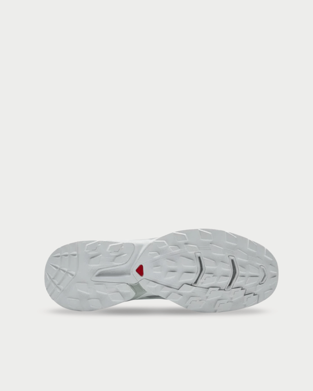 Salomon XT - Wings 2 White
