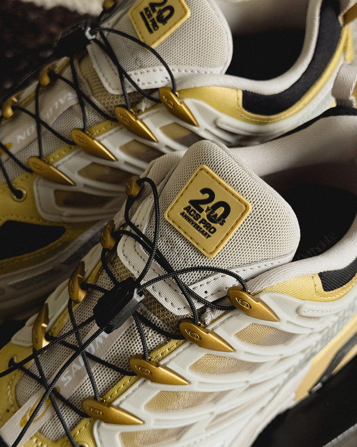 Salomon ACS Pro 20Y