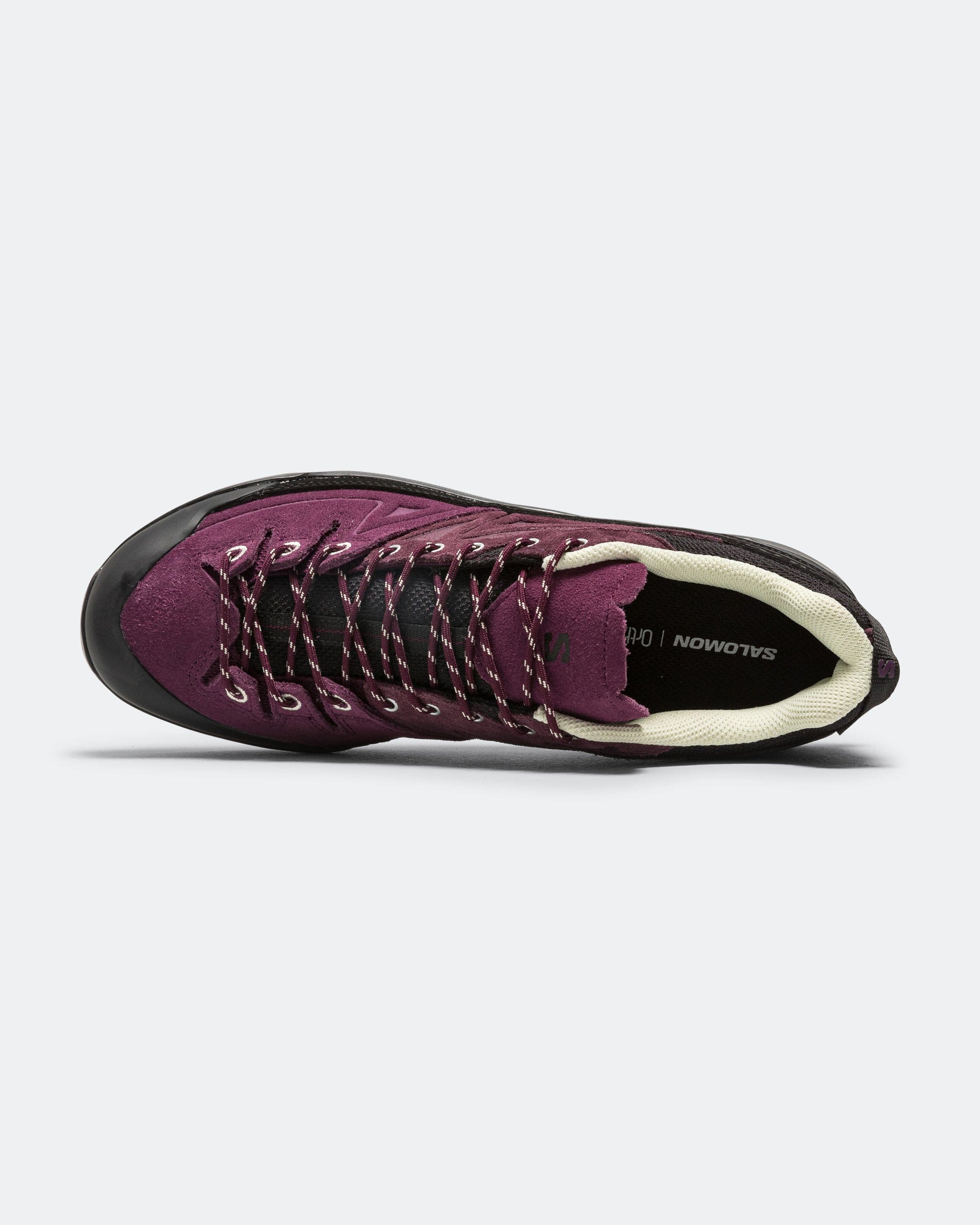 Salomon X - ALP Leather - Winter Bloom/Plum Perfect - Lime Cream