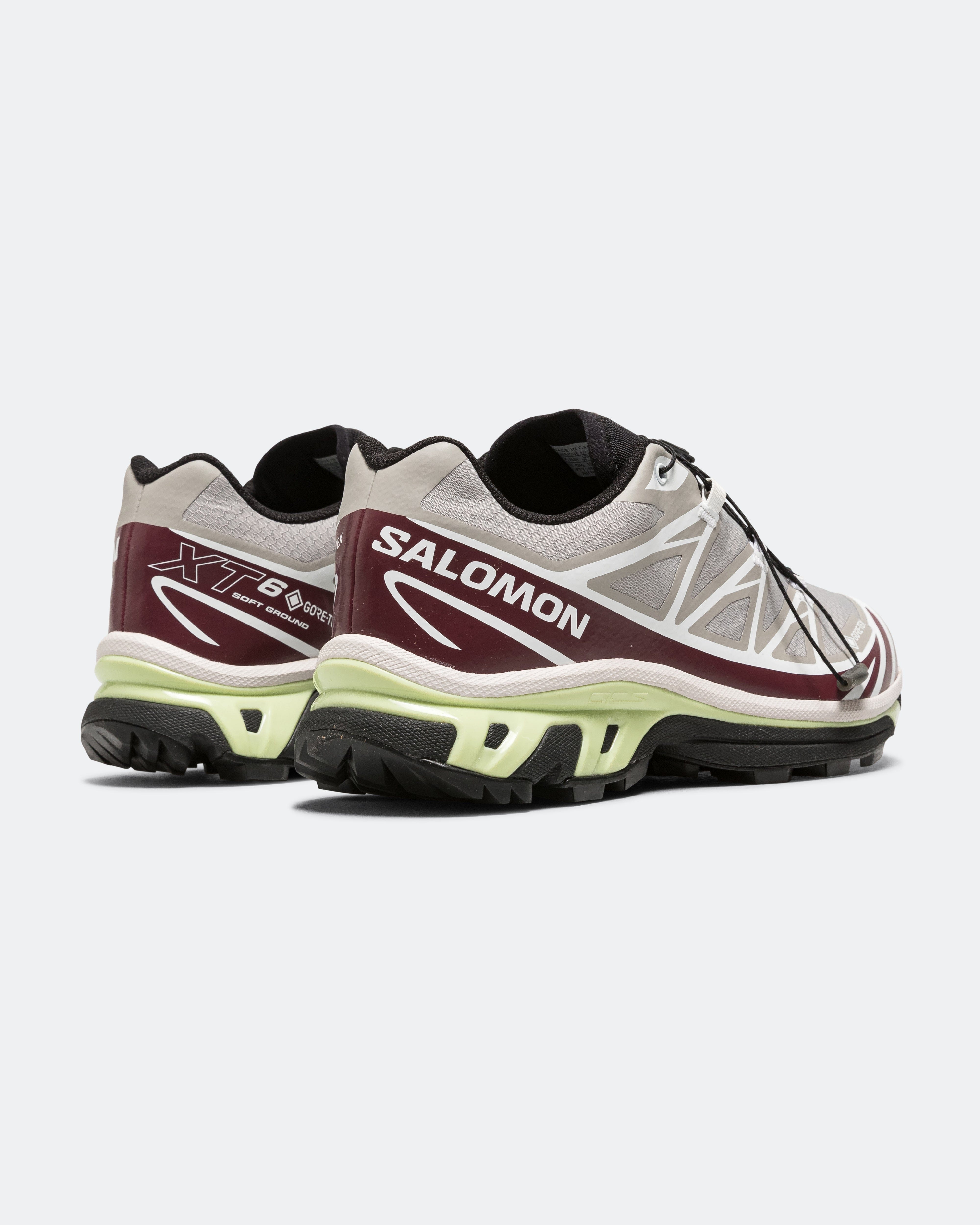 Salomon XT - 6 GORE - TEX - Paloma/Maroon Banner - Butterfly