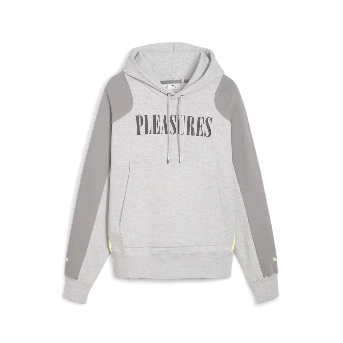 PUMA Pleasures Hoodie Gray