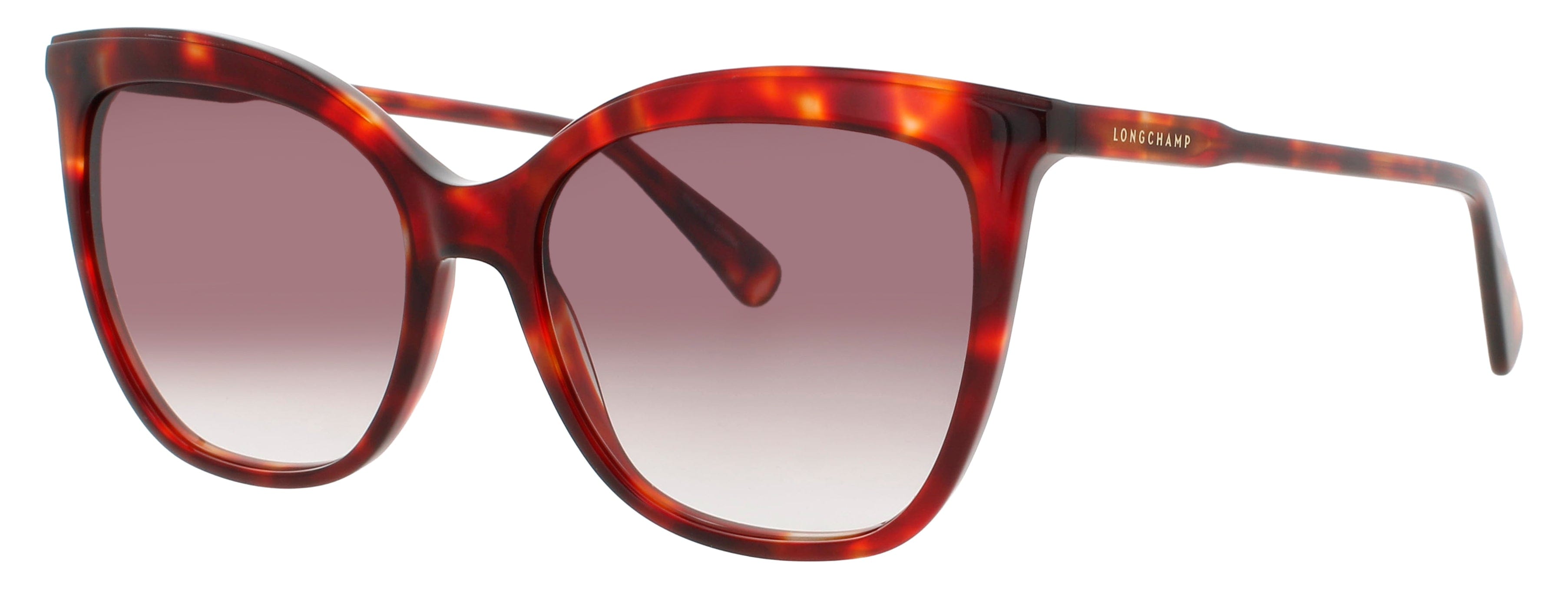 Longchamp Sunglasses Gray