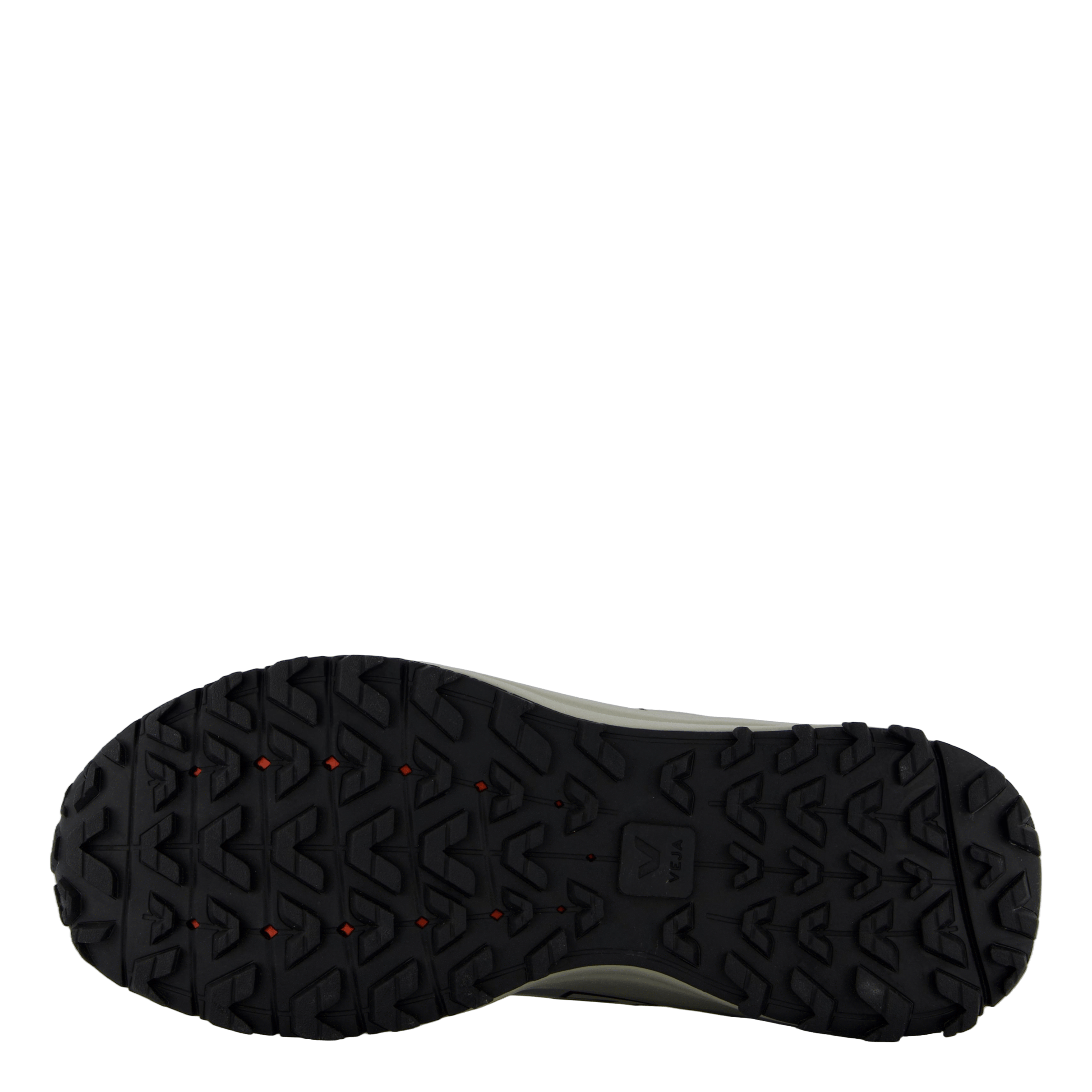 Veja x Etudes Etudes Shark