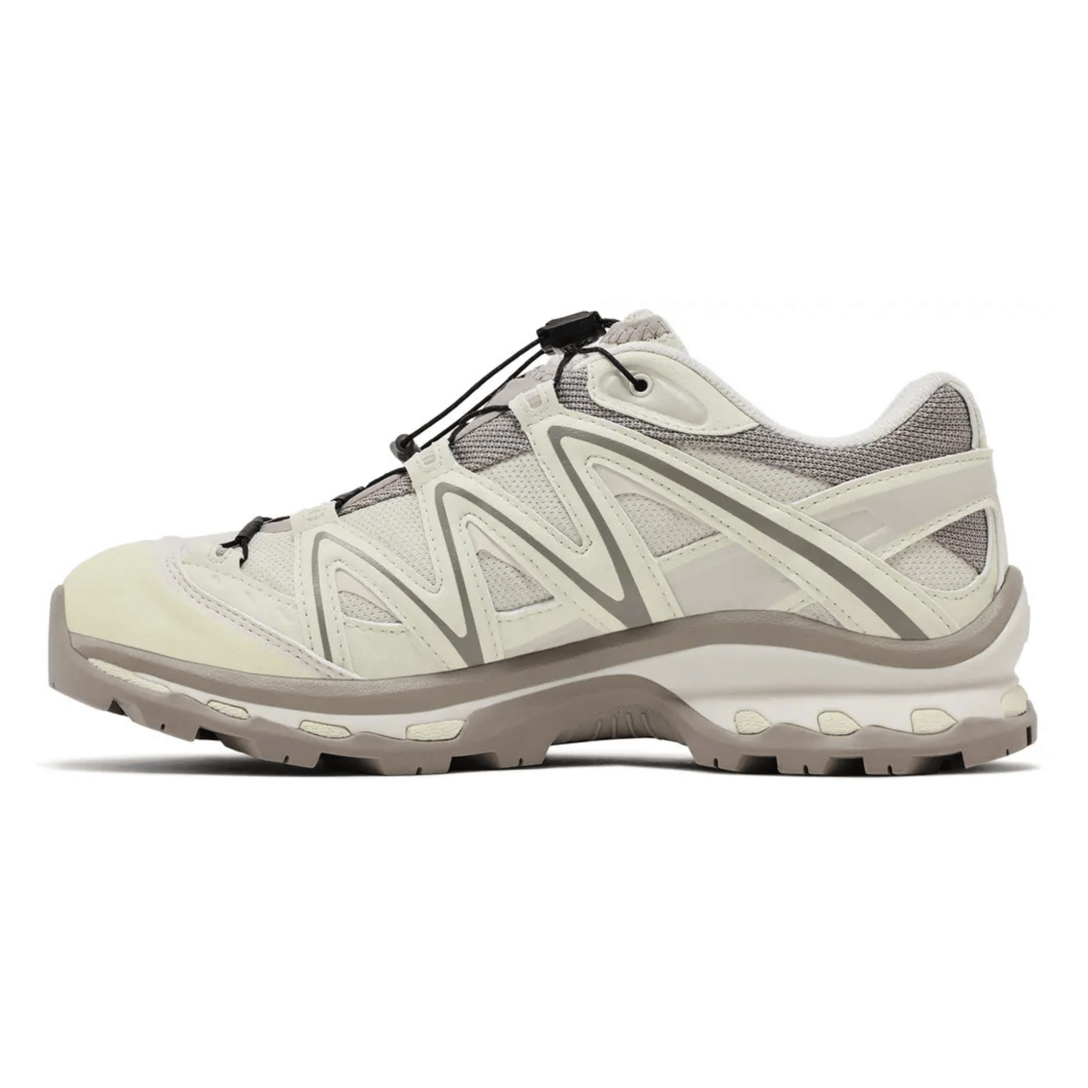 Salomon Men's XT - Quest Gore - Tex Almond Milk/Aloe Wash