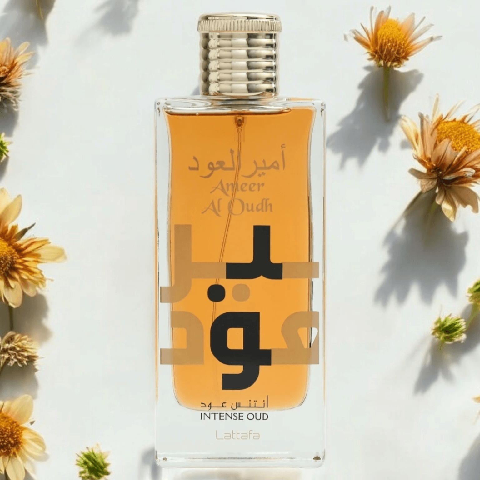Lattafa - Ameer Al Oudh Intense Oud | Fragrance Samples