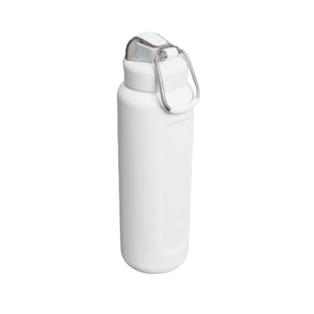 Stanley Wellspring Bottle (32 oz) Hammertone Frost