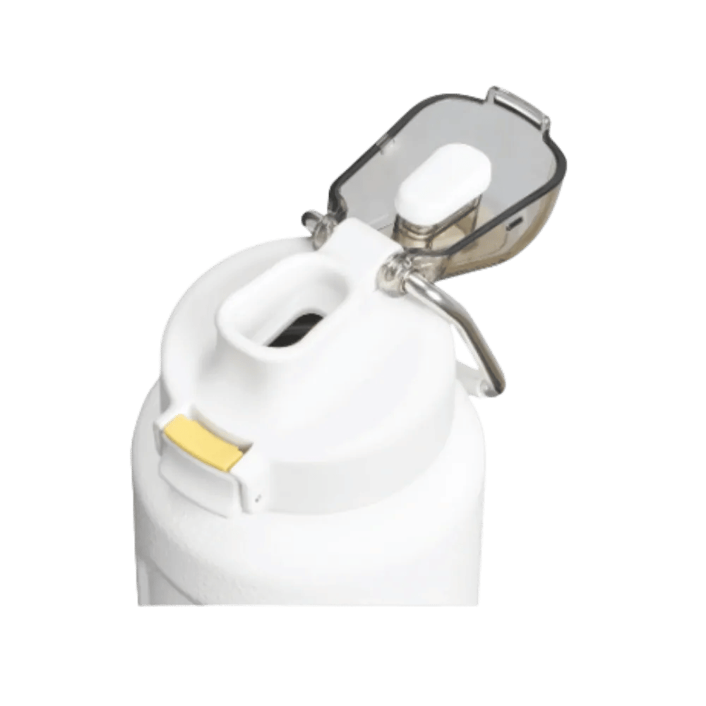 Stanley Wellspring Bottle (32 oz) Hammertone Frost