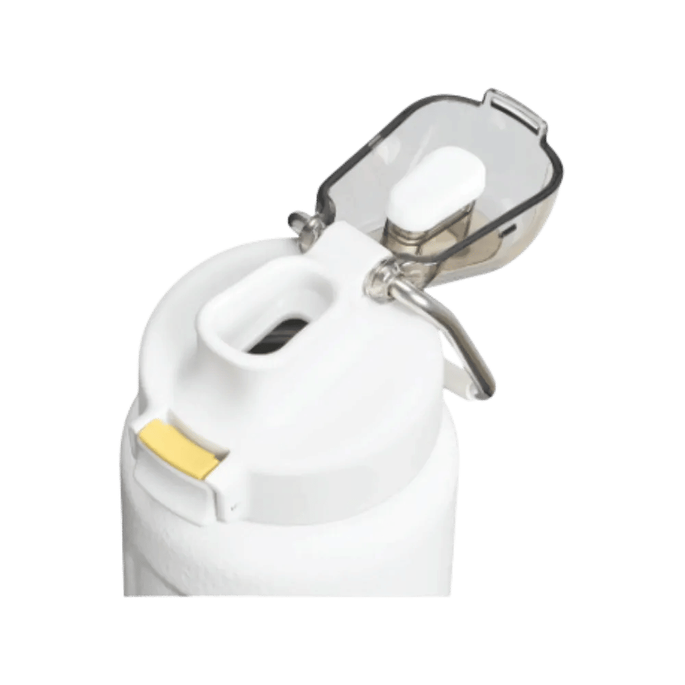 Stanley Wellspring Bottle (24 oz) Hammertone Frost