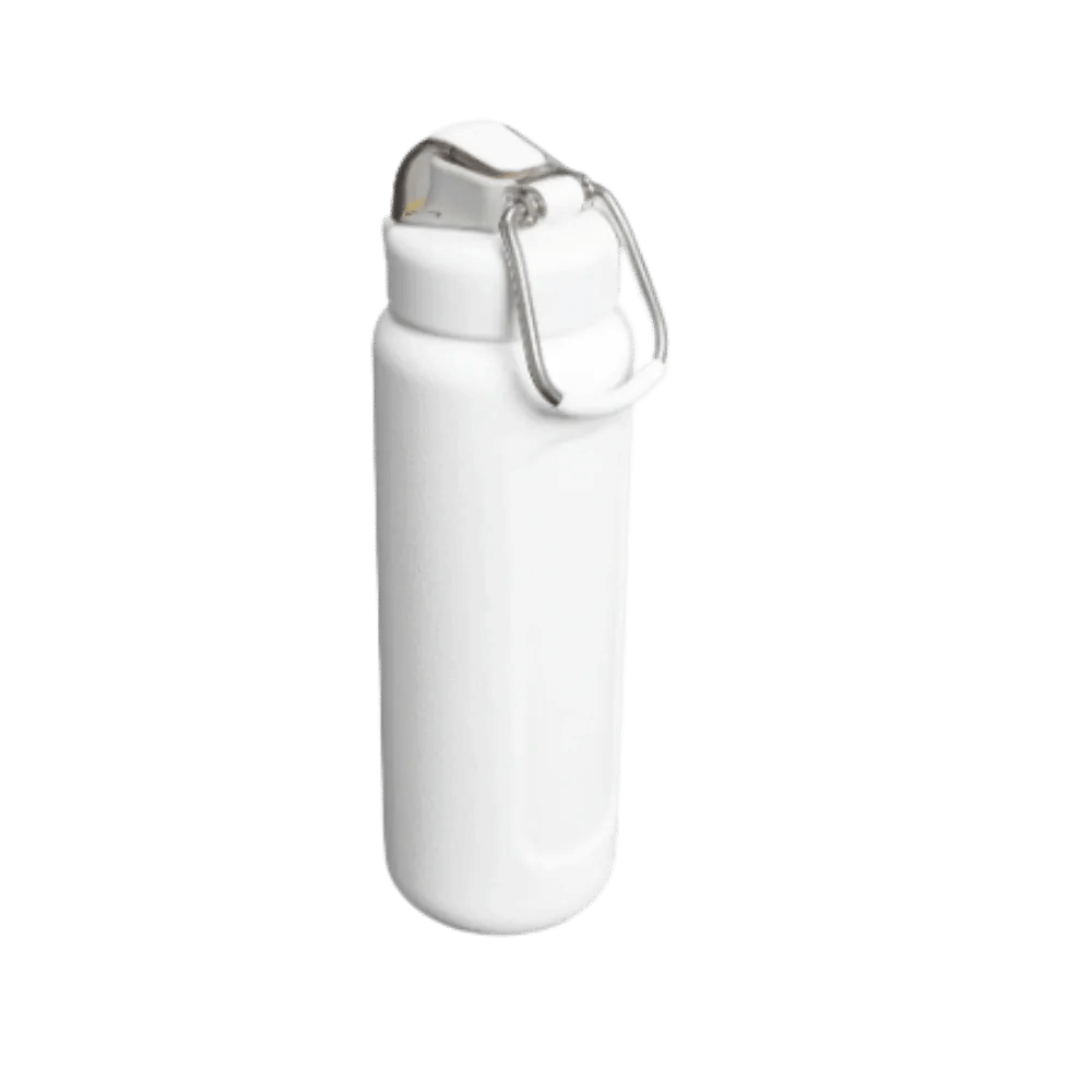Stanley Wellspring Bottle (24 oz) Hammertone Frost