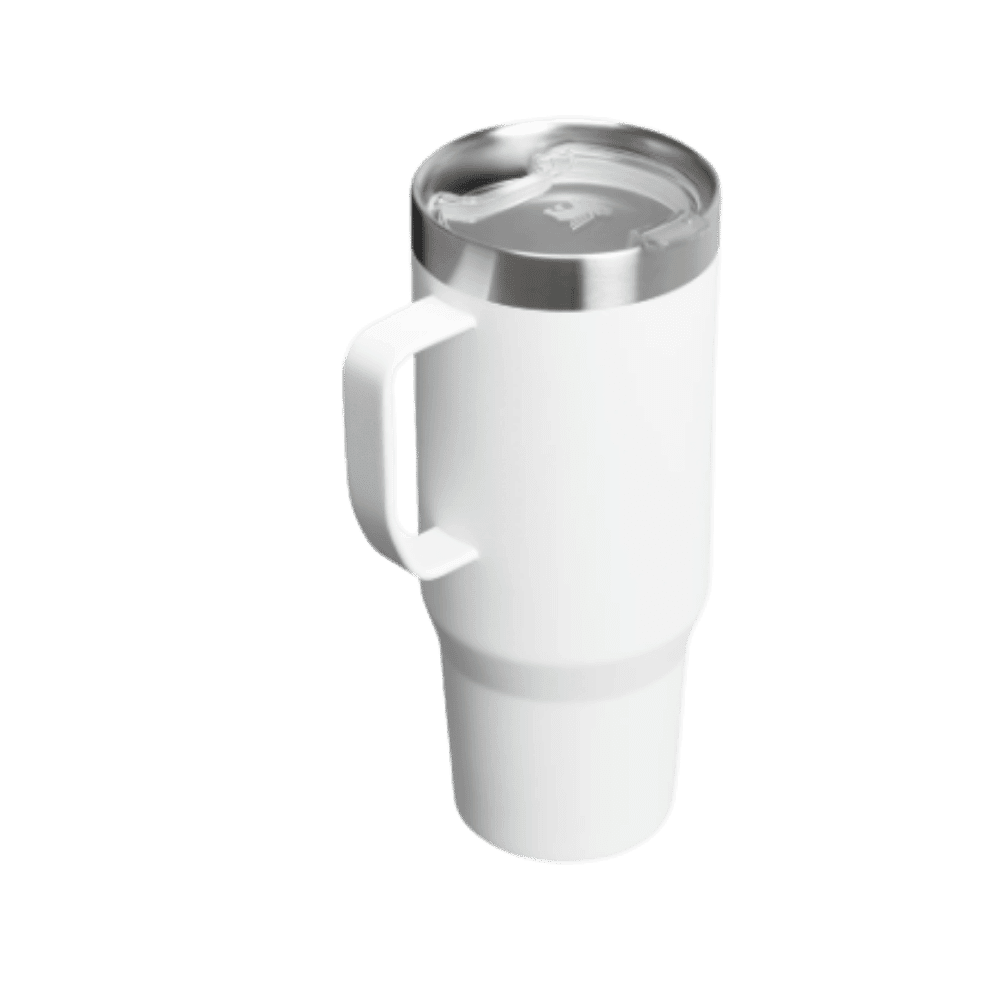 Stanley Everyday Suburban Mug (30 oz) Frost