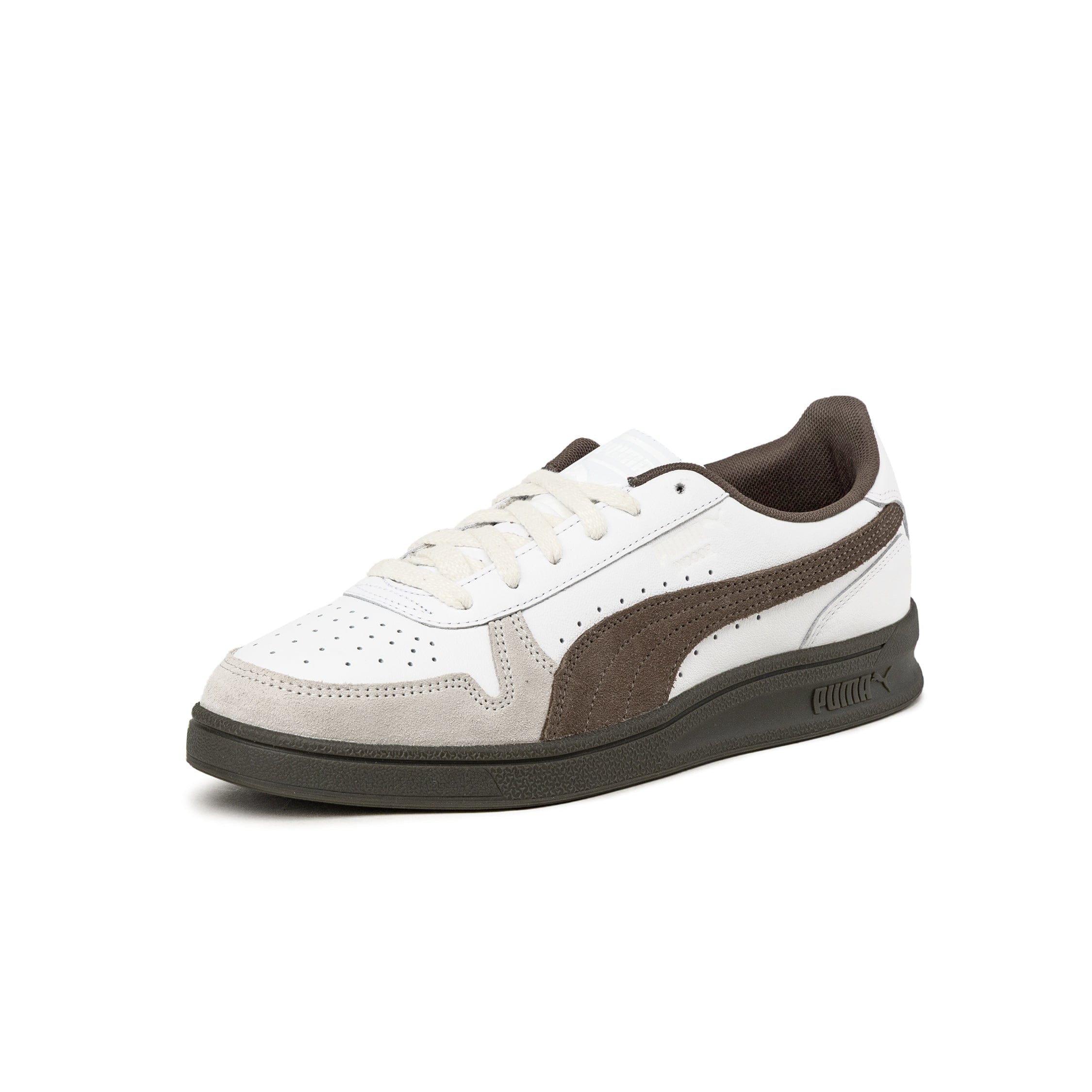 Puma Indoor