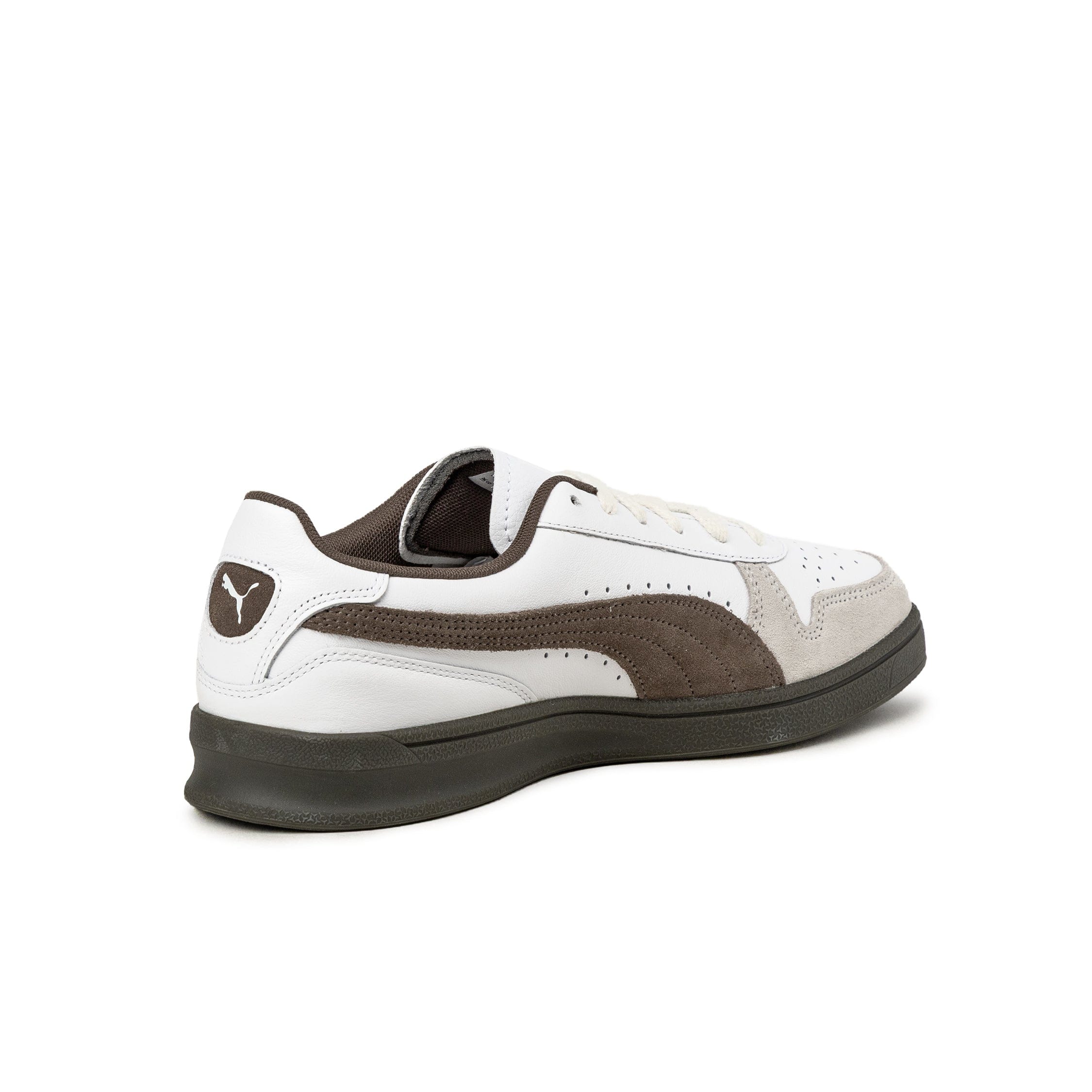 Puma Indoor
