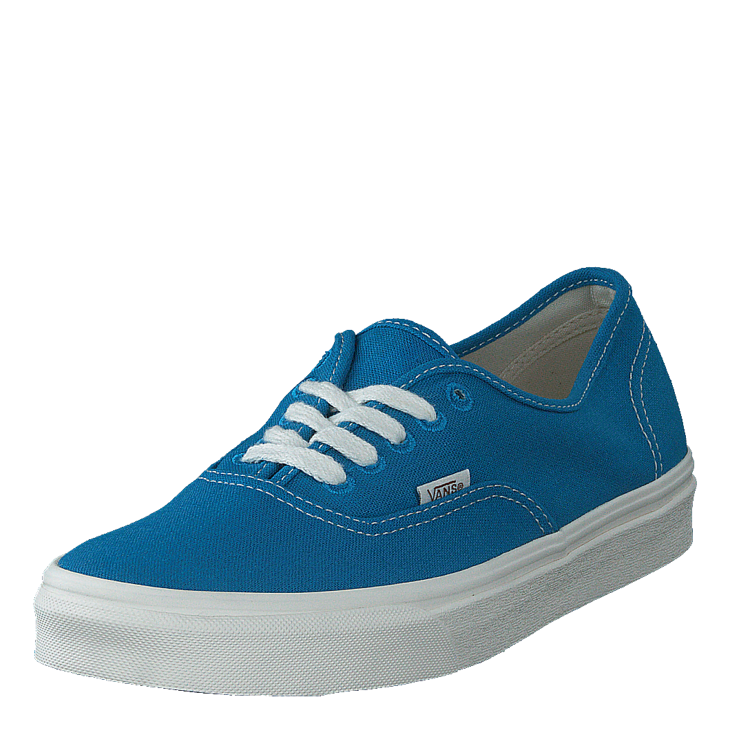 Vans Ua Authentic (eco Theory)hawainsrfntrl