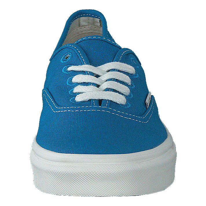 Vans Ua Authentic (eco Theory)hawainsrfntrl