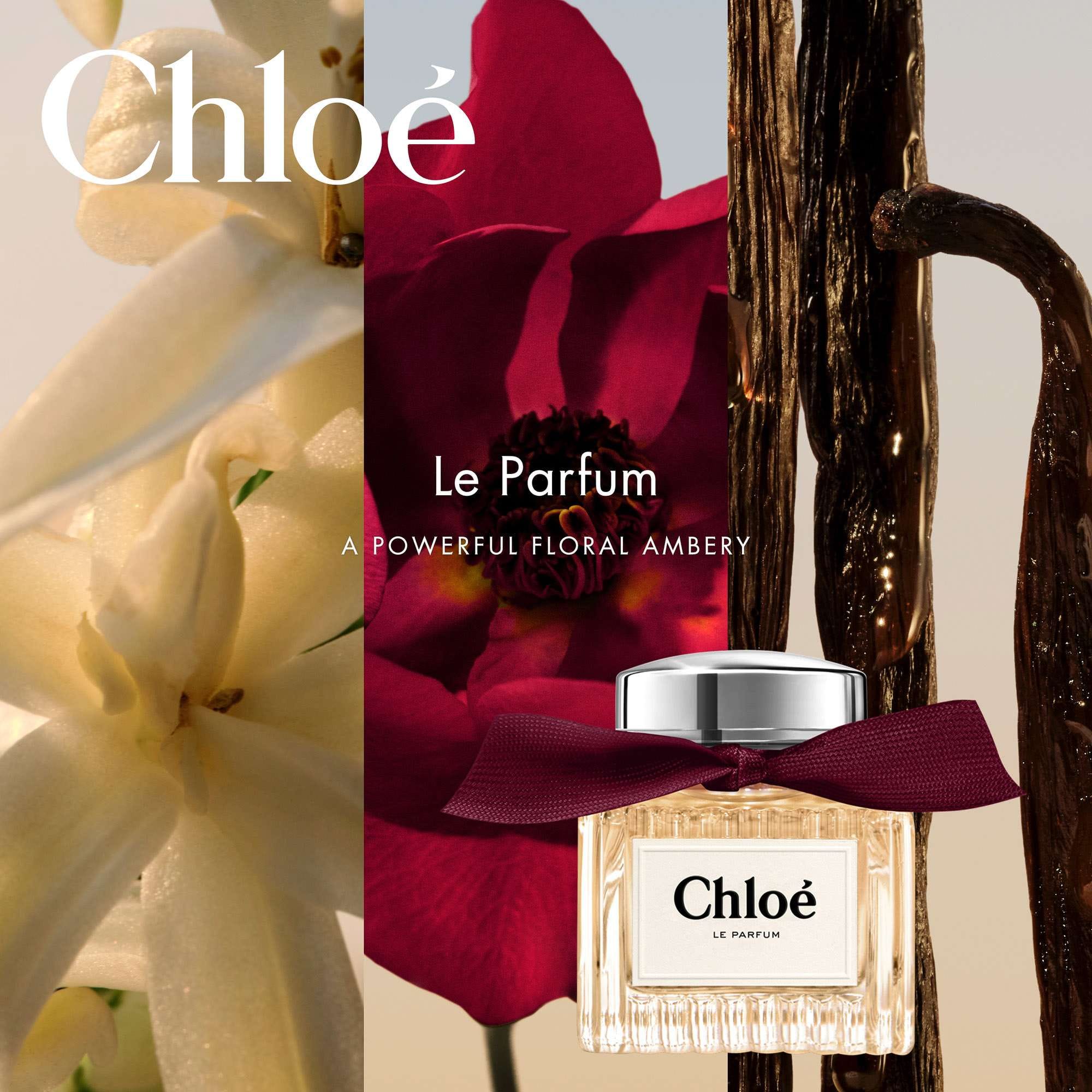 Chloé Signature Le Parfum Spray 30 ml