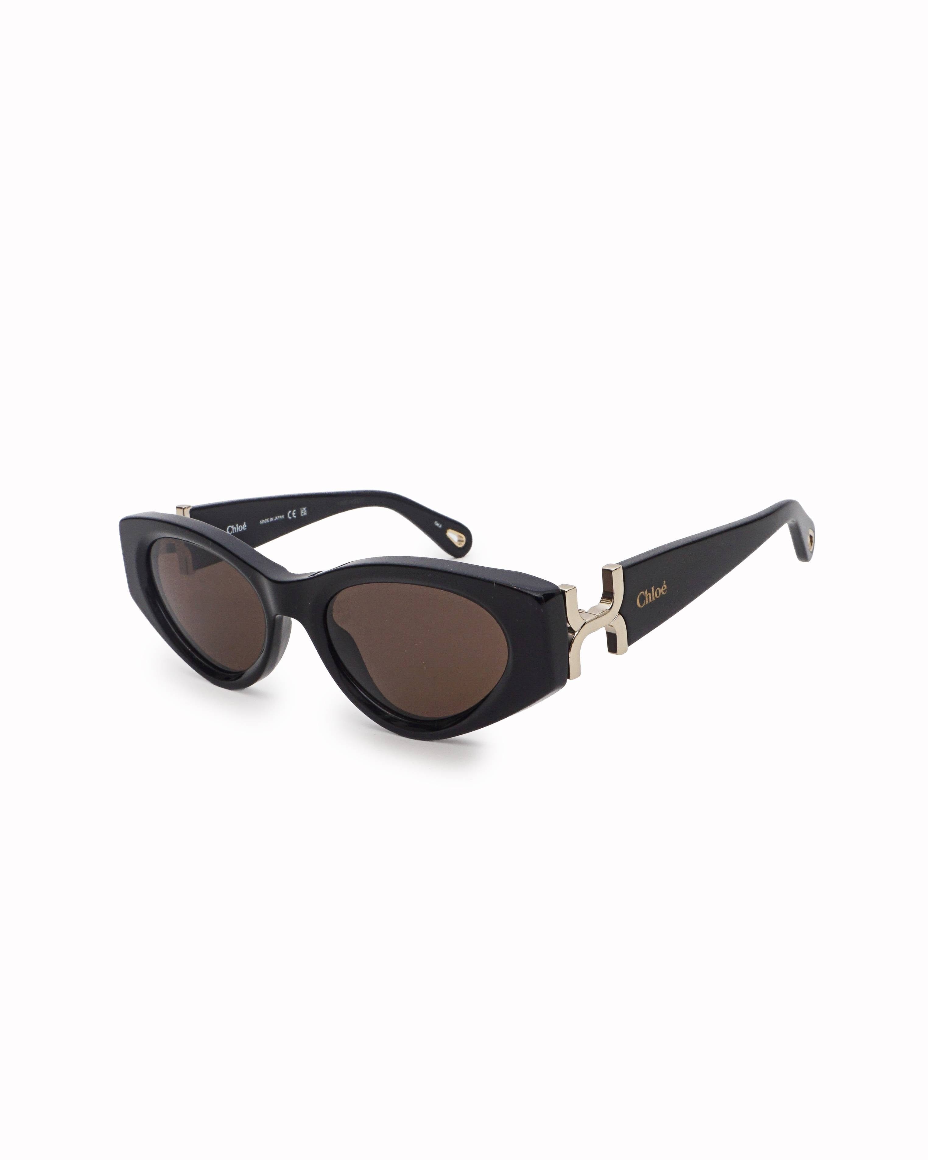 Chloé Marcie Black Acetate Cat - Eye Sunglasses