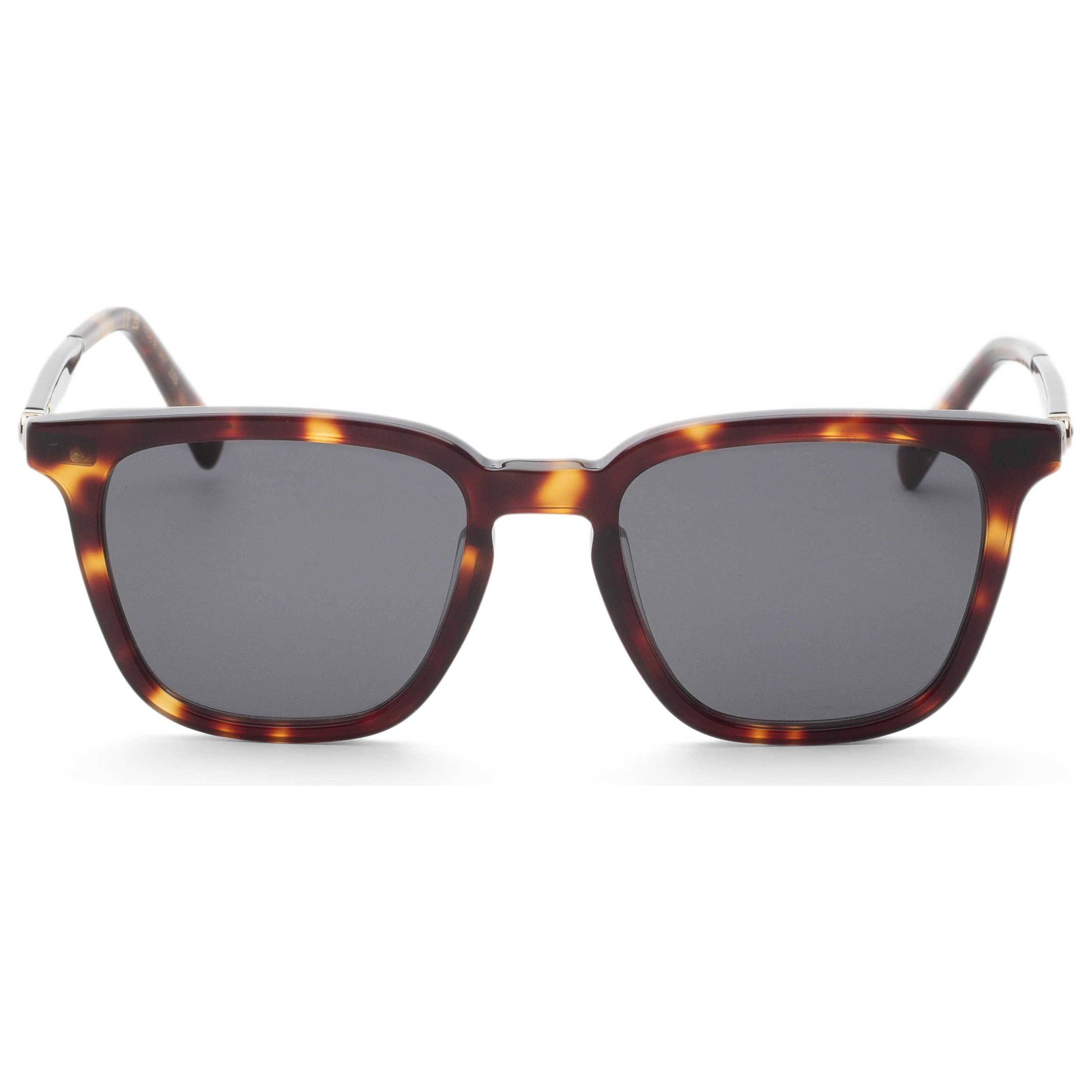 Ferragamo Men's Sunglasses SF1100S - 242 - 52