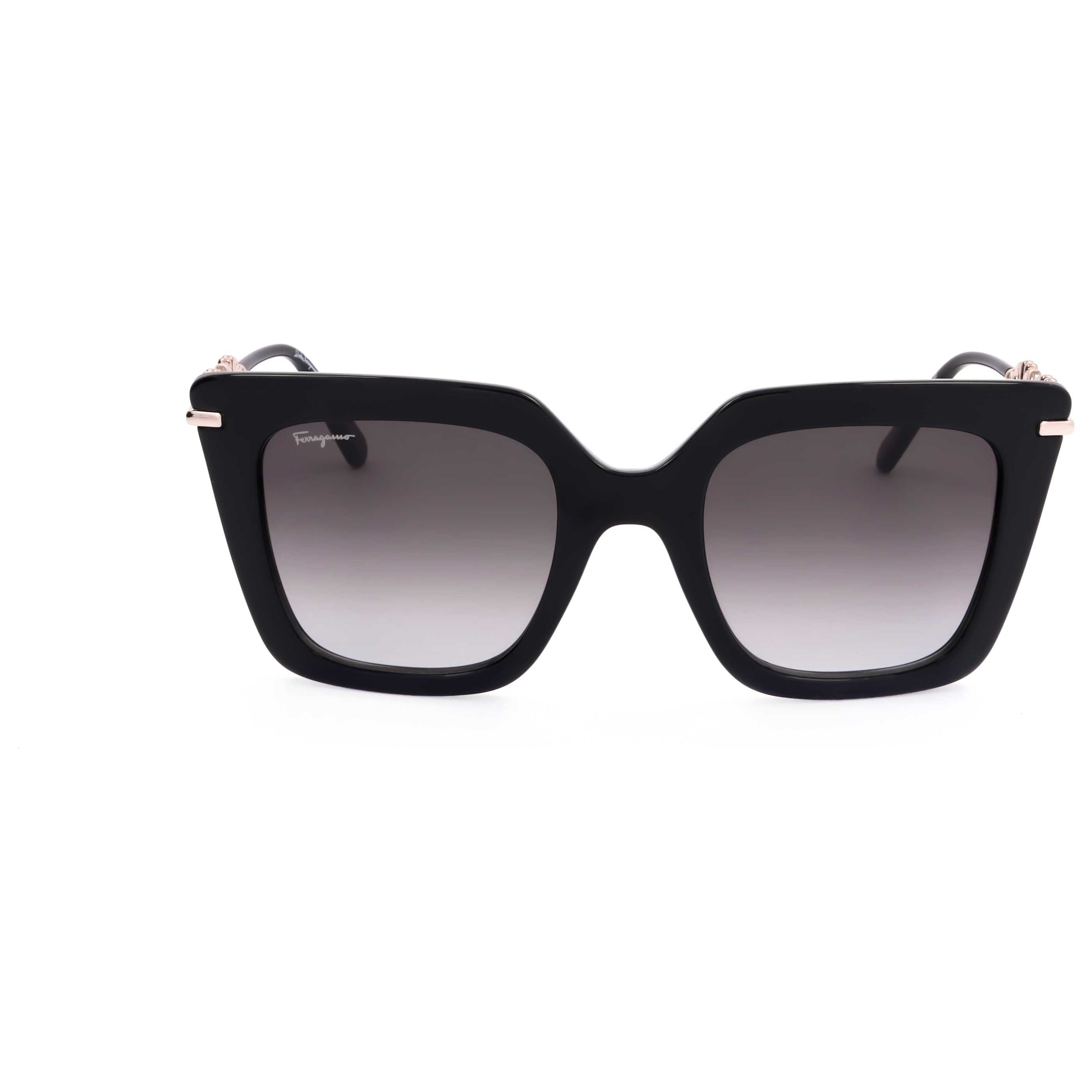 Ferragamo Women's Sunglasses SF1041S - 001 - 51
