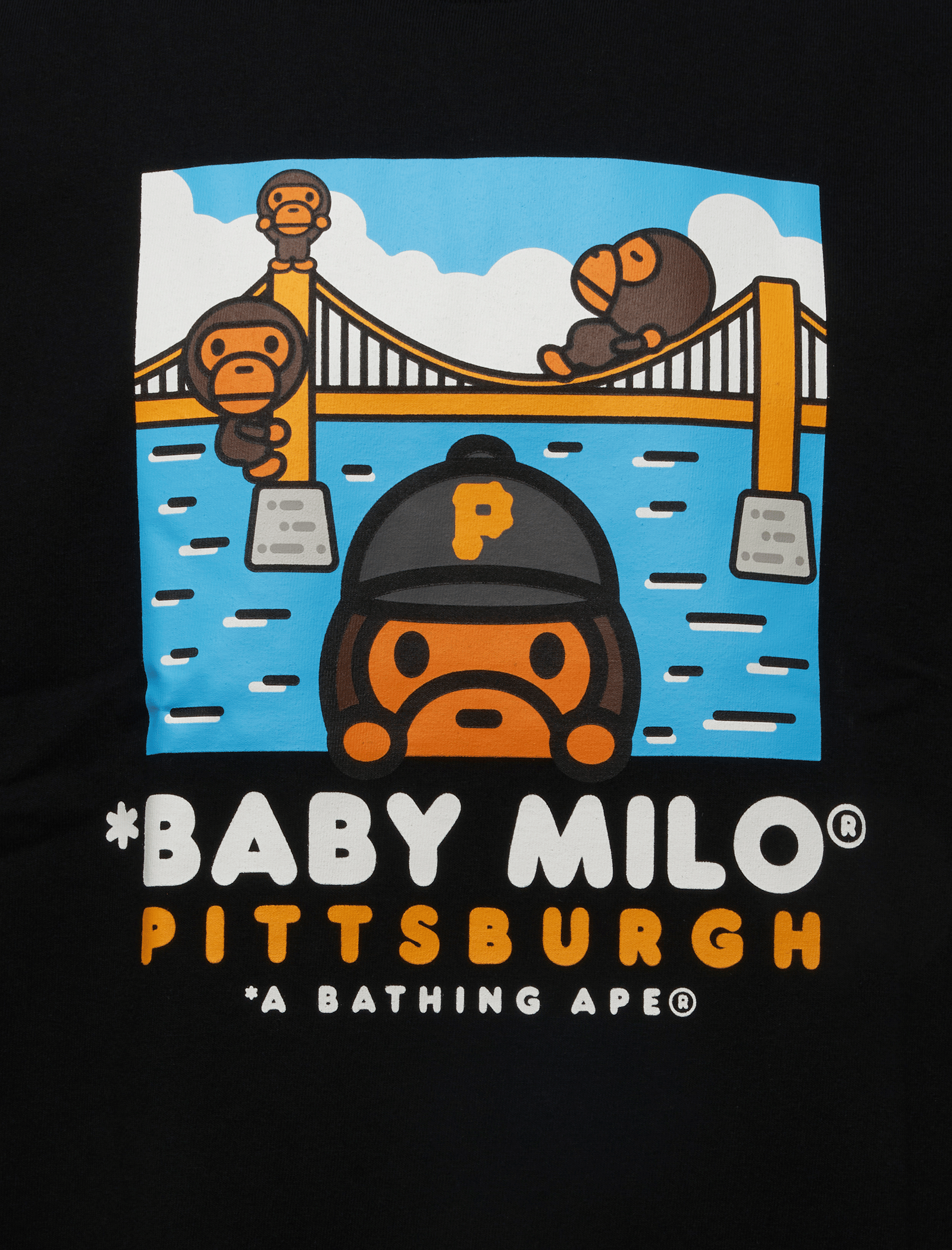 BAPE PITTSBURGH BAPE CITY T-Shirt