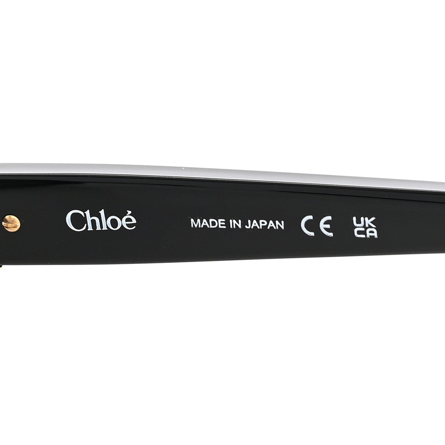 Chloe Oversized Round Sunglasses CH0301S Black