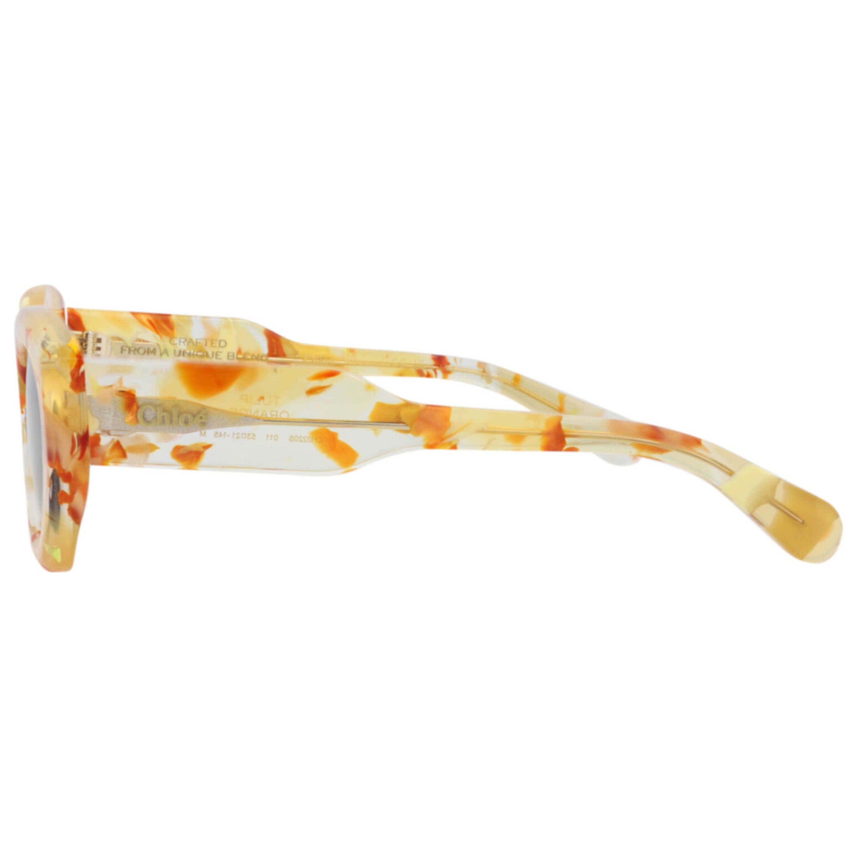 Chloe Women's Sunglasses CH0220S - 30015146 - 011