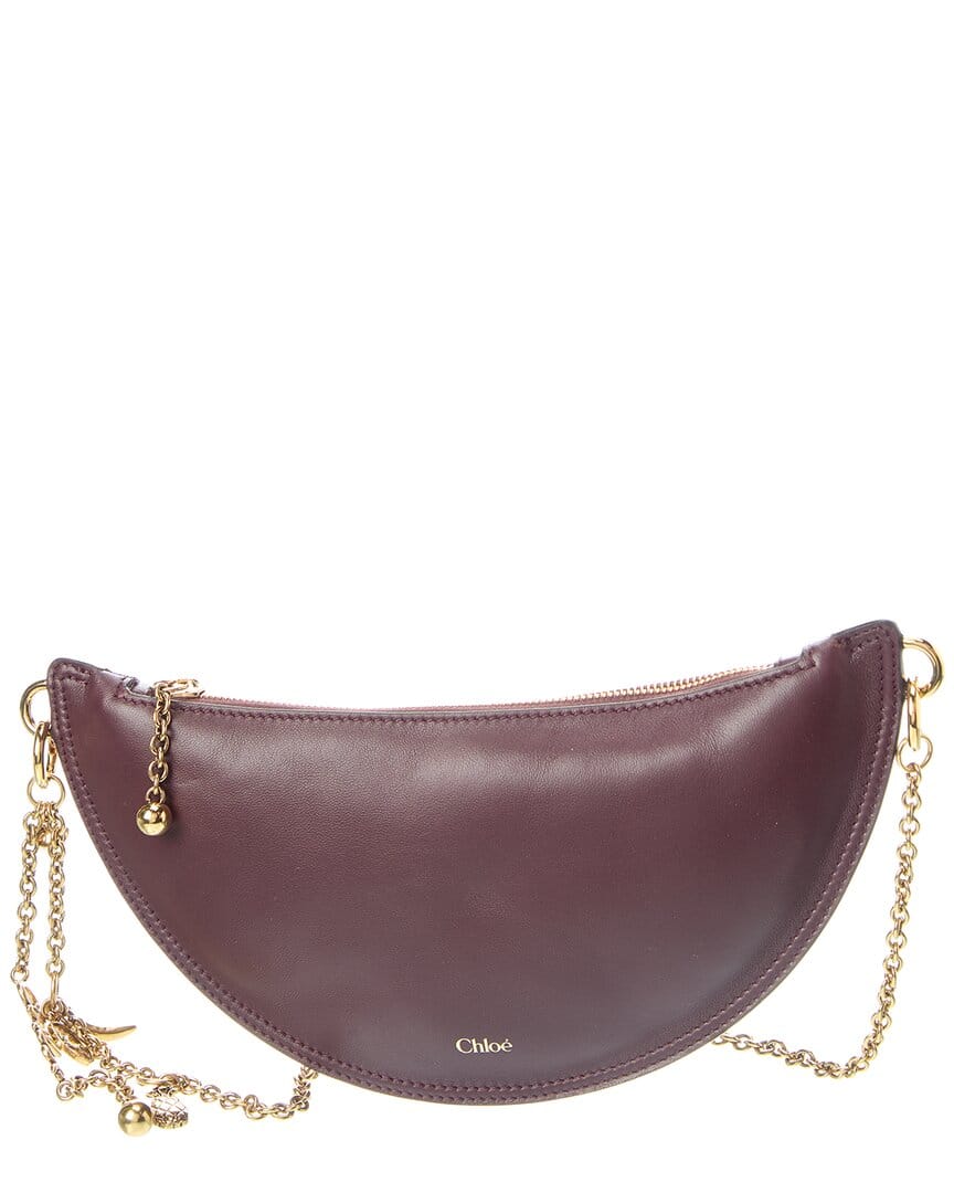 Chloé Icons Mini Leather Hobo Bag