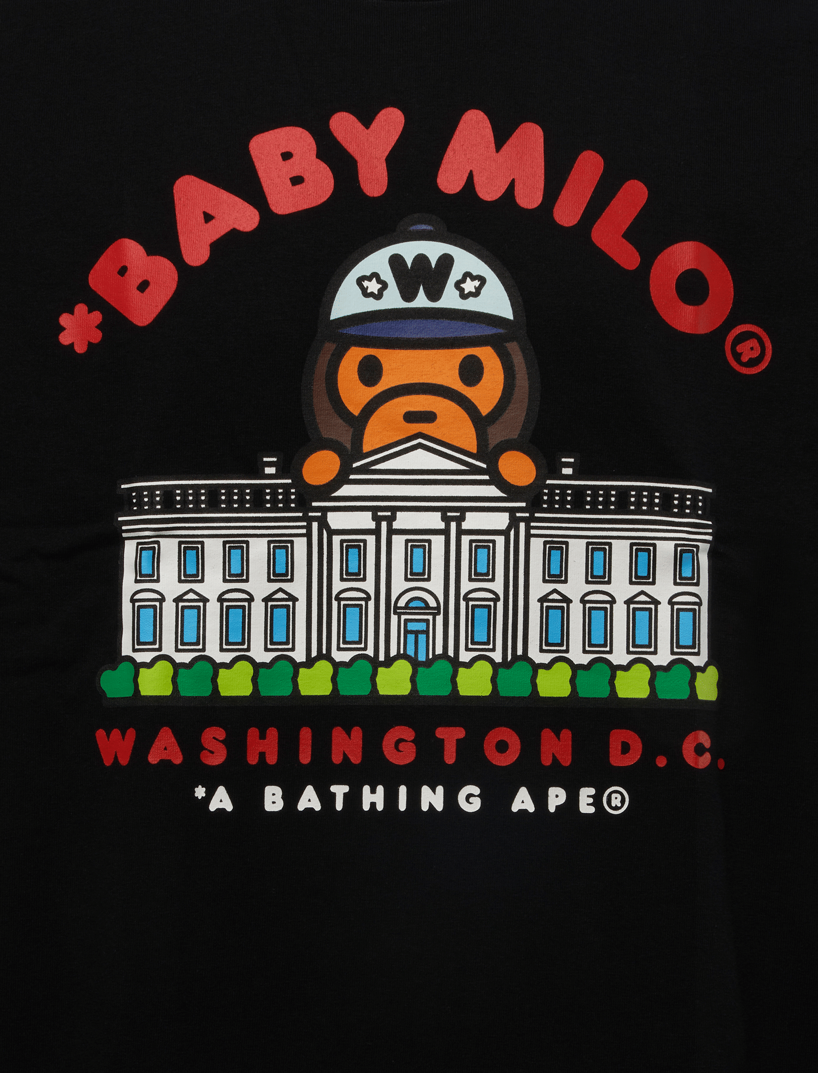 BAPE DC BAPE CITY T-Shirt