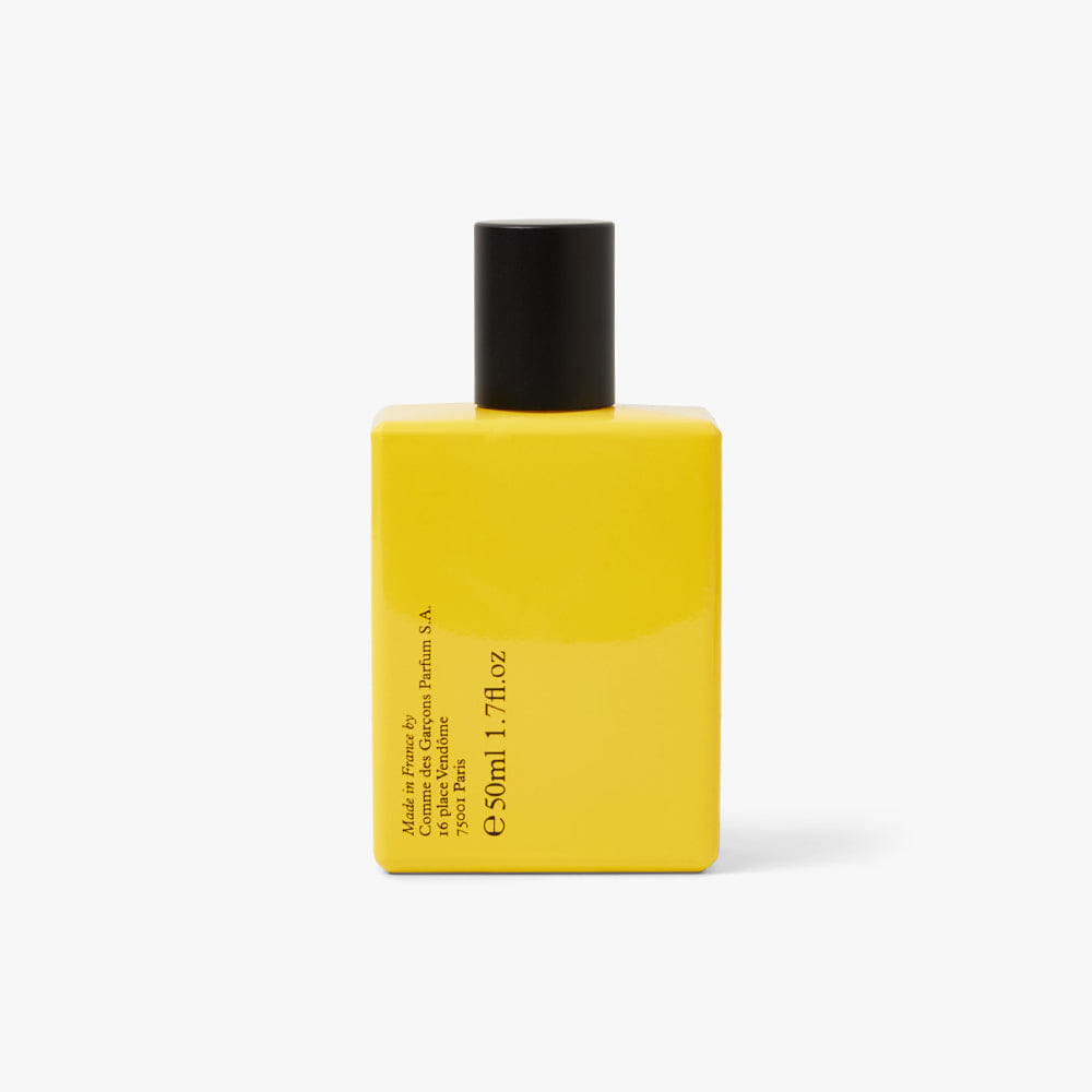 COMME des GARÇONS PARFUM x Monocle Scent 3 Sugi / 50 ml