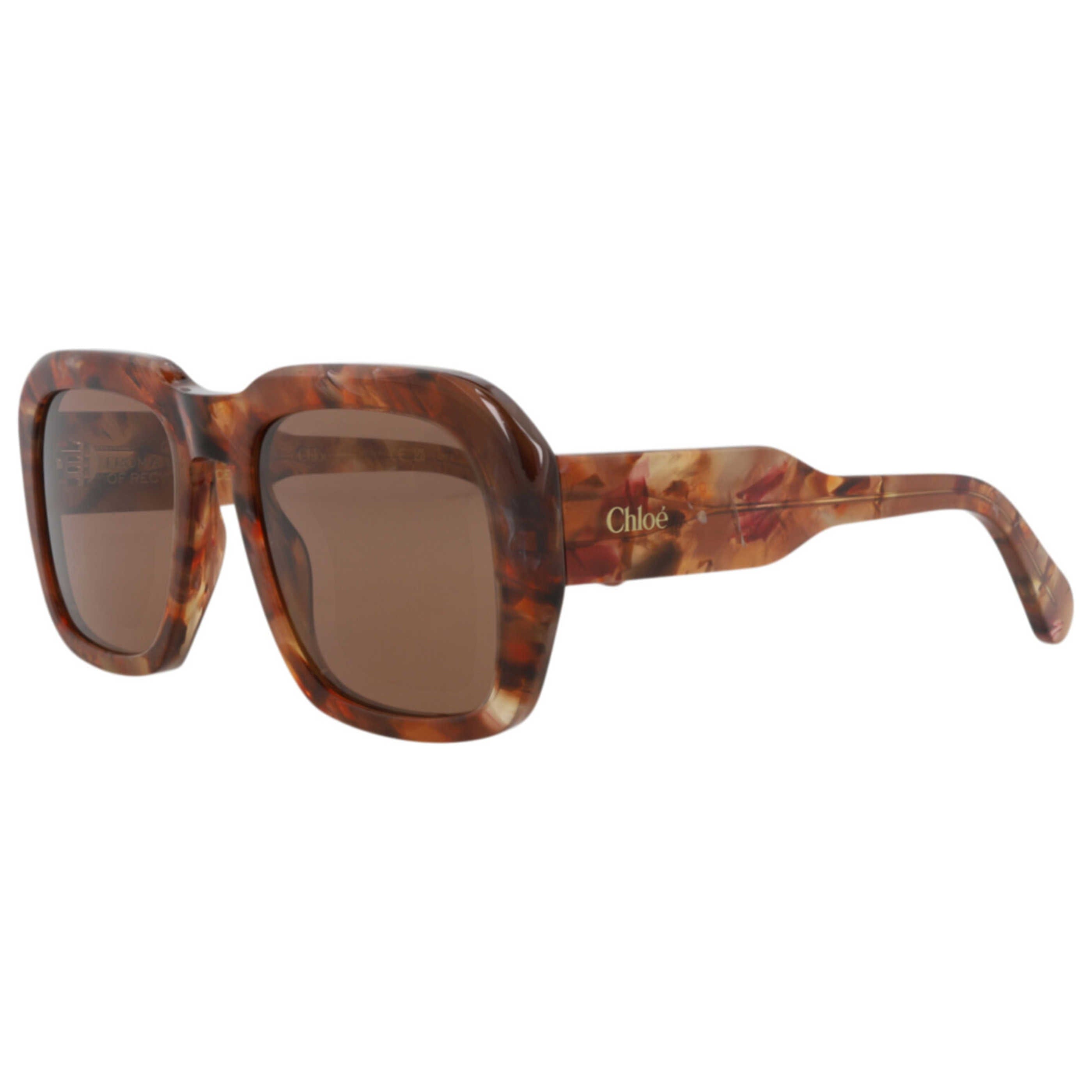 Chloe Women's Sunglasses CH0310S - 30016294 - 005
