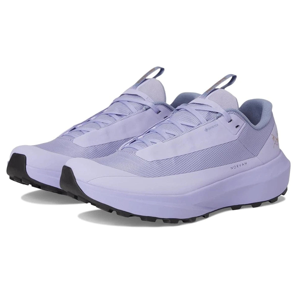 Arc'teryx Norvan LdGTX Women's Moonstone Trail Running Shoes ZOGG2770