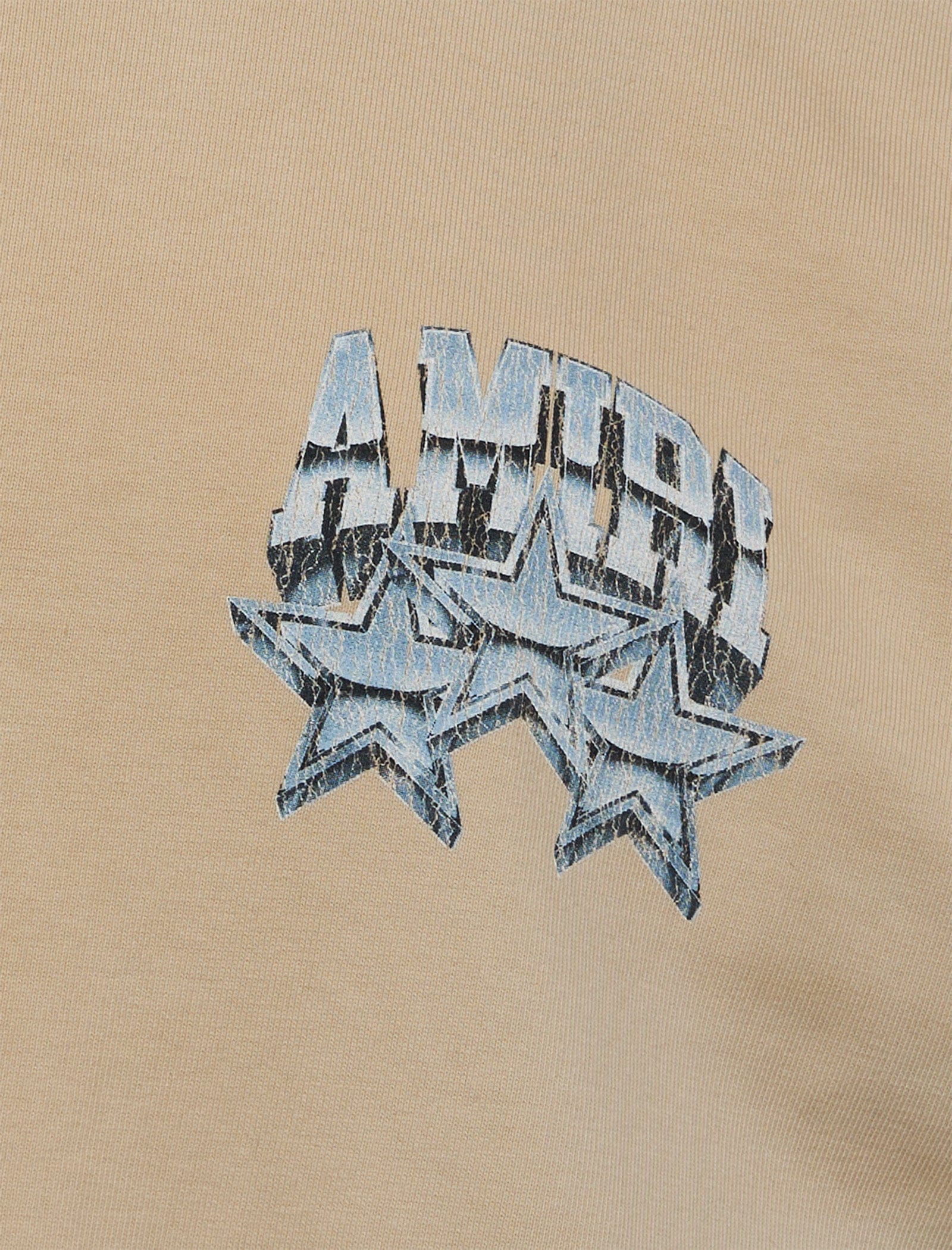 AMIRI CHAMPIONSHIP T-Shirt