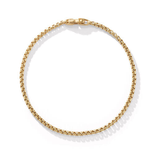 David Yurman Box Chain Bracelet in 18K Yellow Gold, 2.7 mm