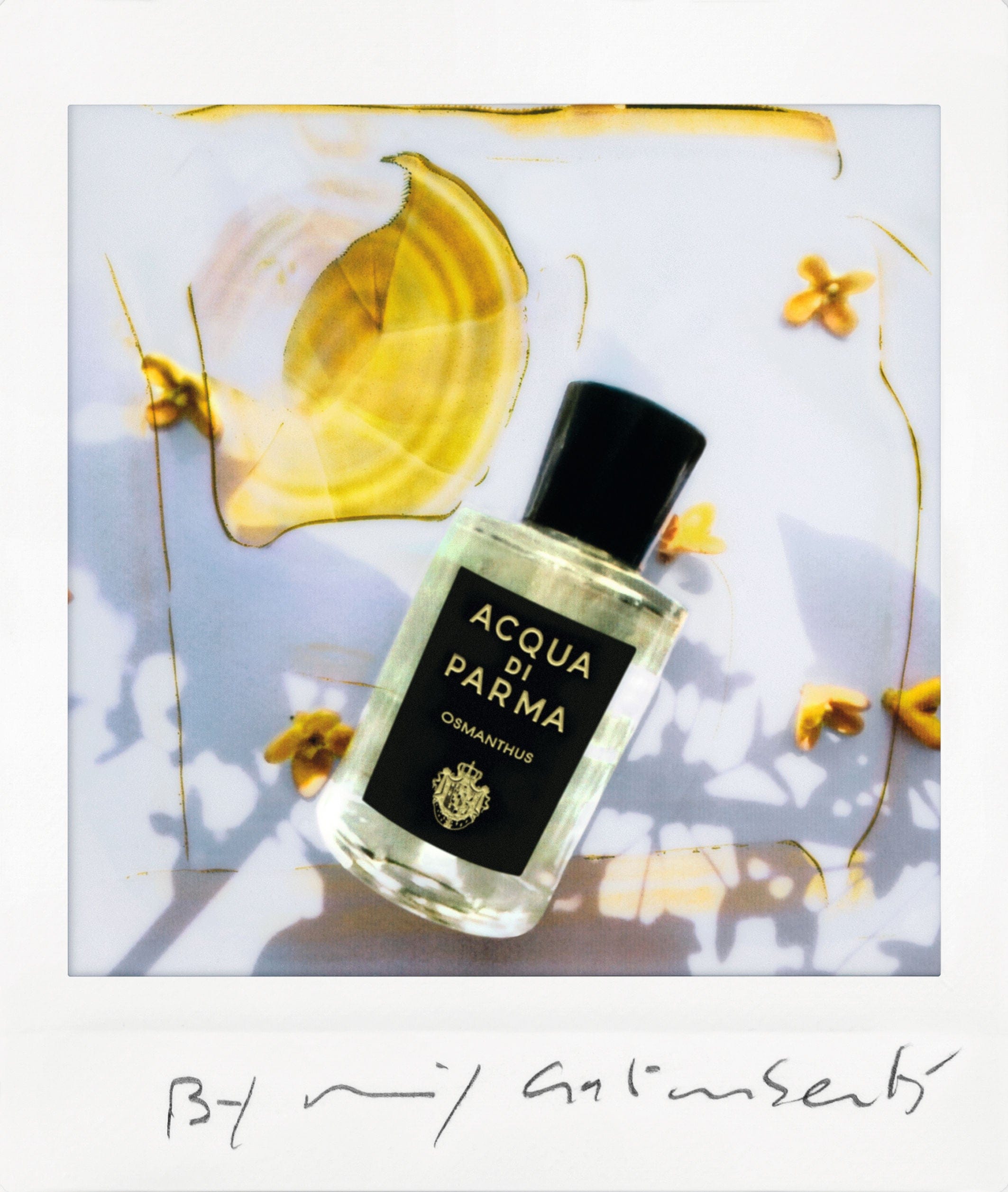 Acqua Di Parma Osmanthus Eau de Parfum