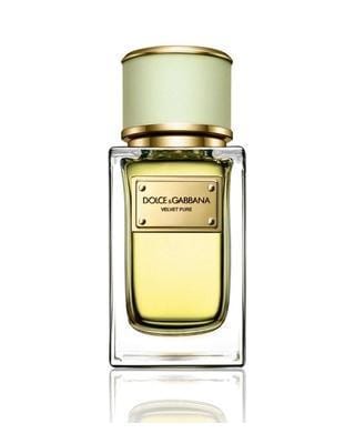 Dolce & Gabbana Velvet Pure