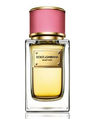 Dolce & Gabbana Velvet Rose