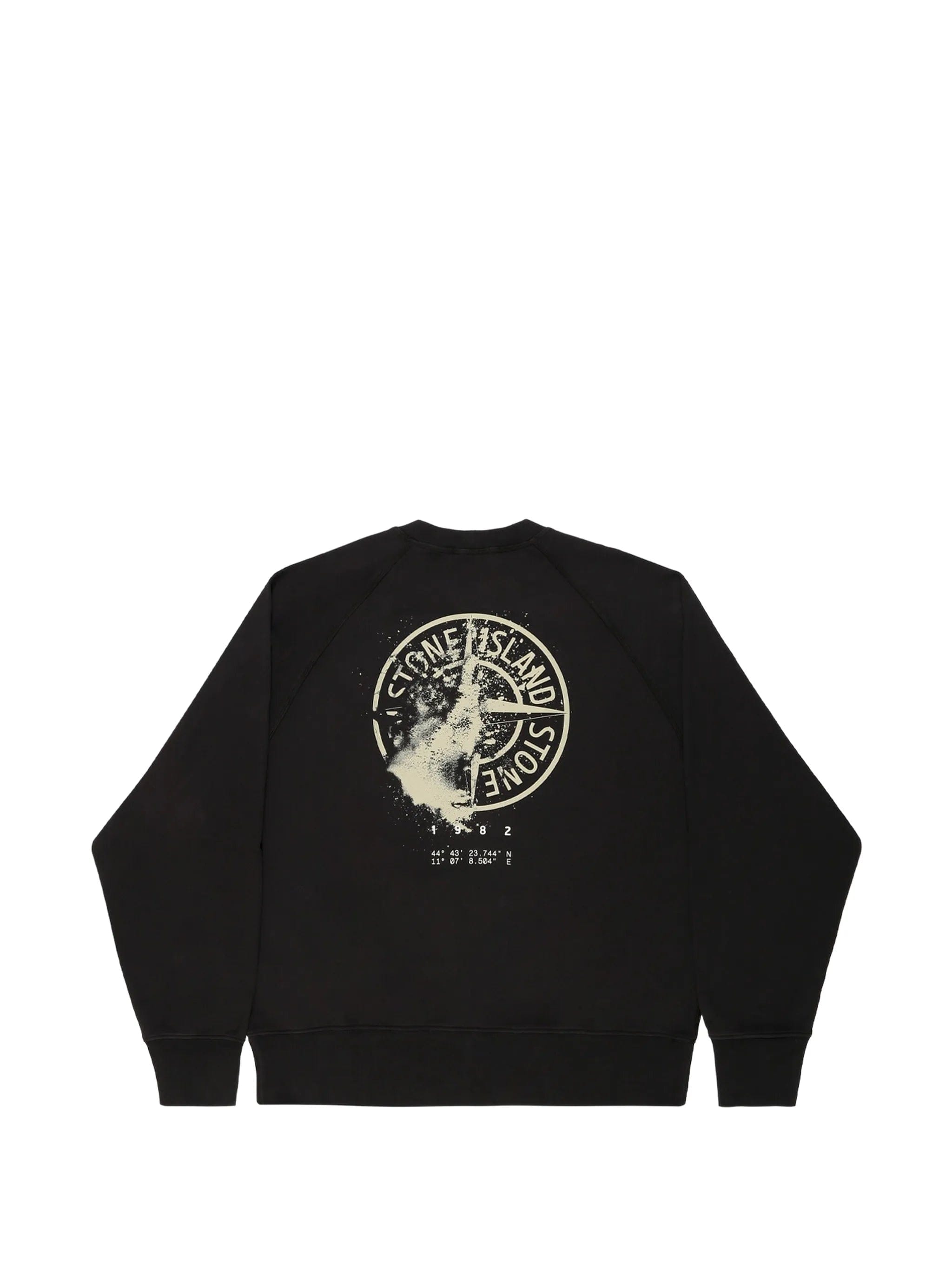 Stone Island logo - print sweatshirt