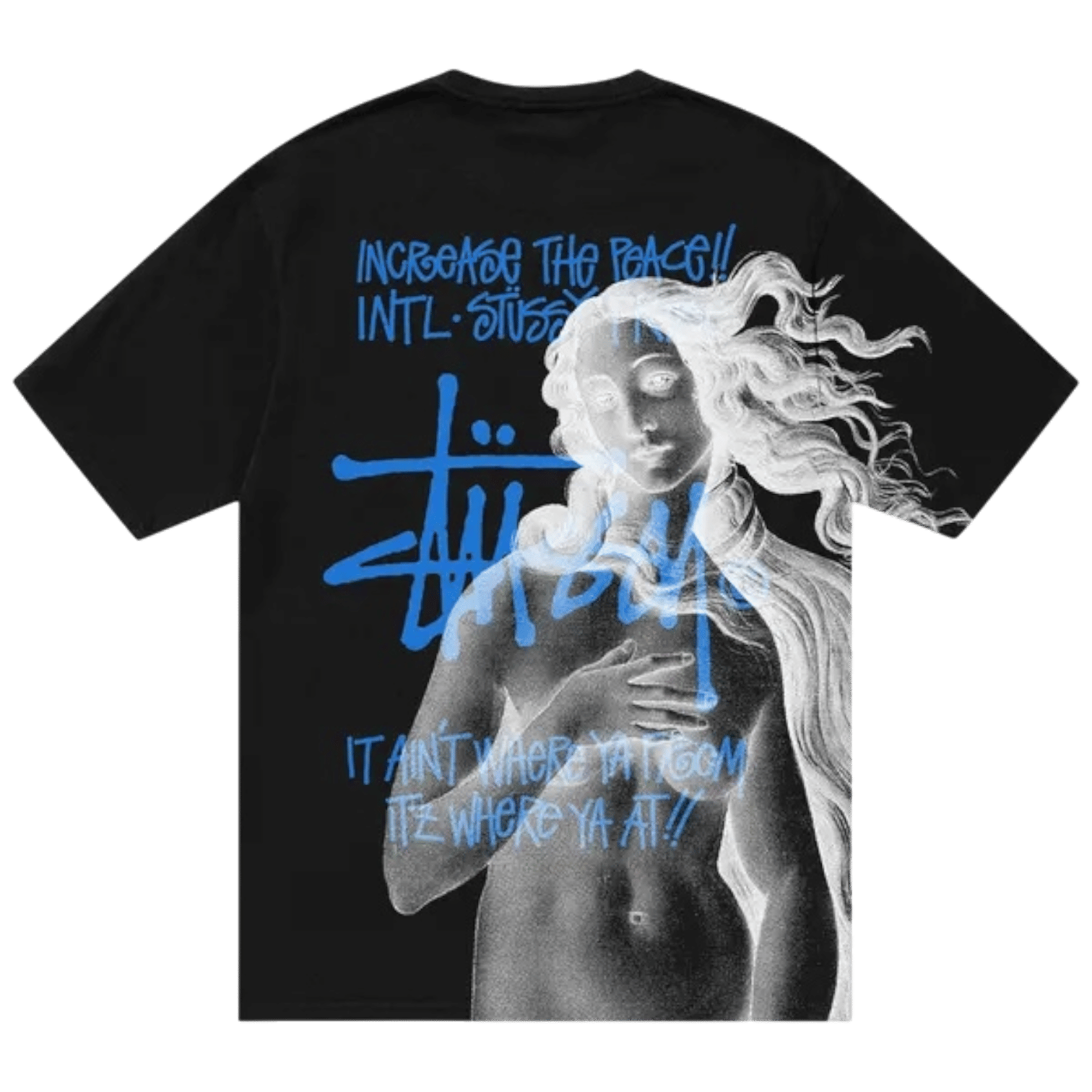 Stussy IST Venus Pigment Dyed T-Shirt Black (FW23)
