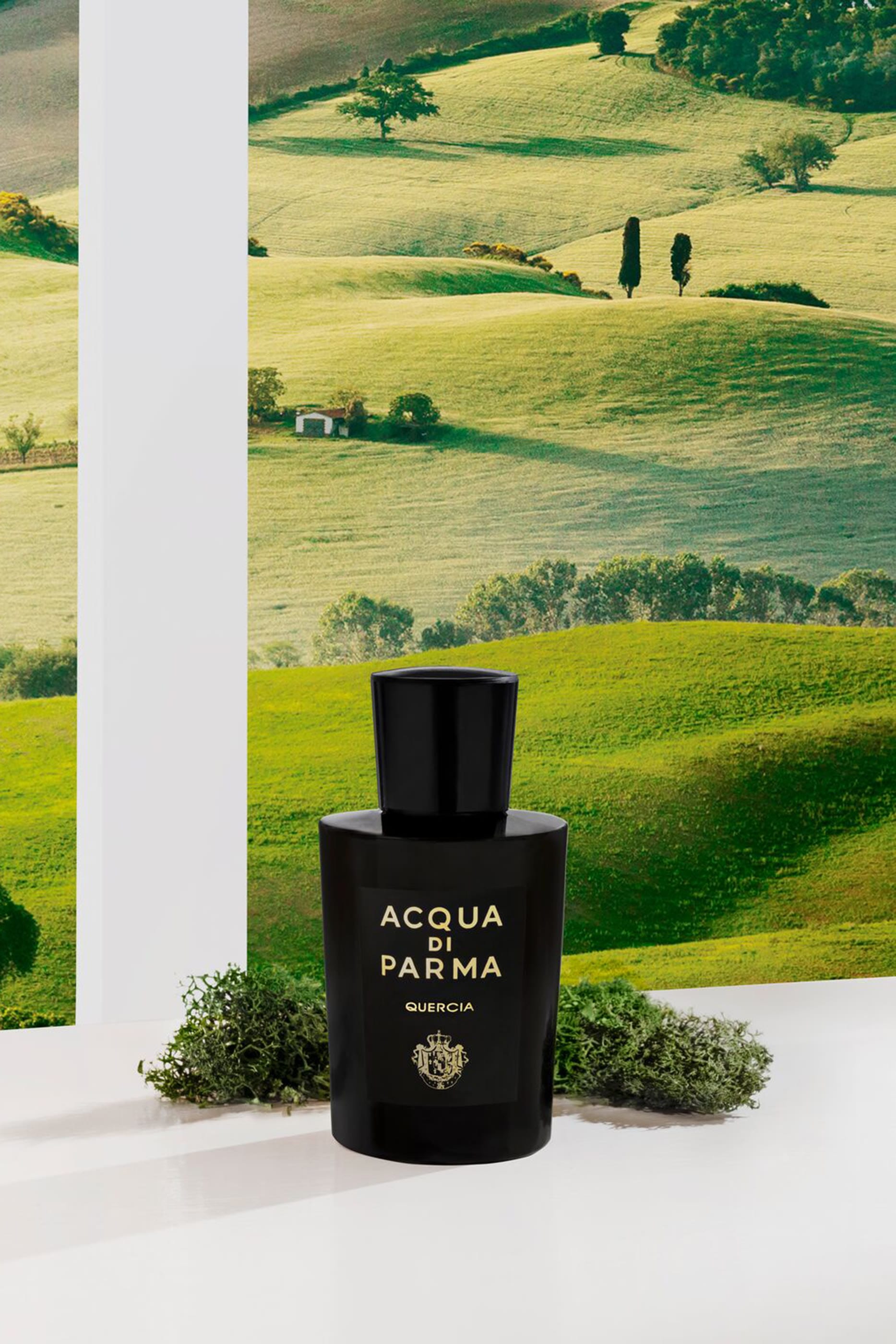 Acqua Di Parma Quercia Eau de Parfum
