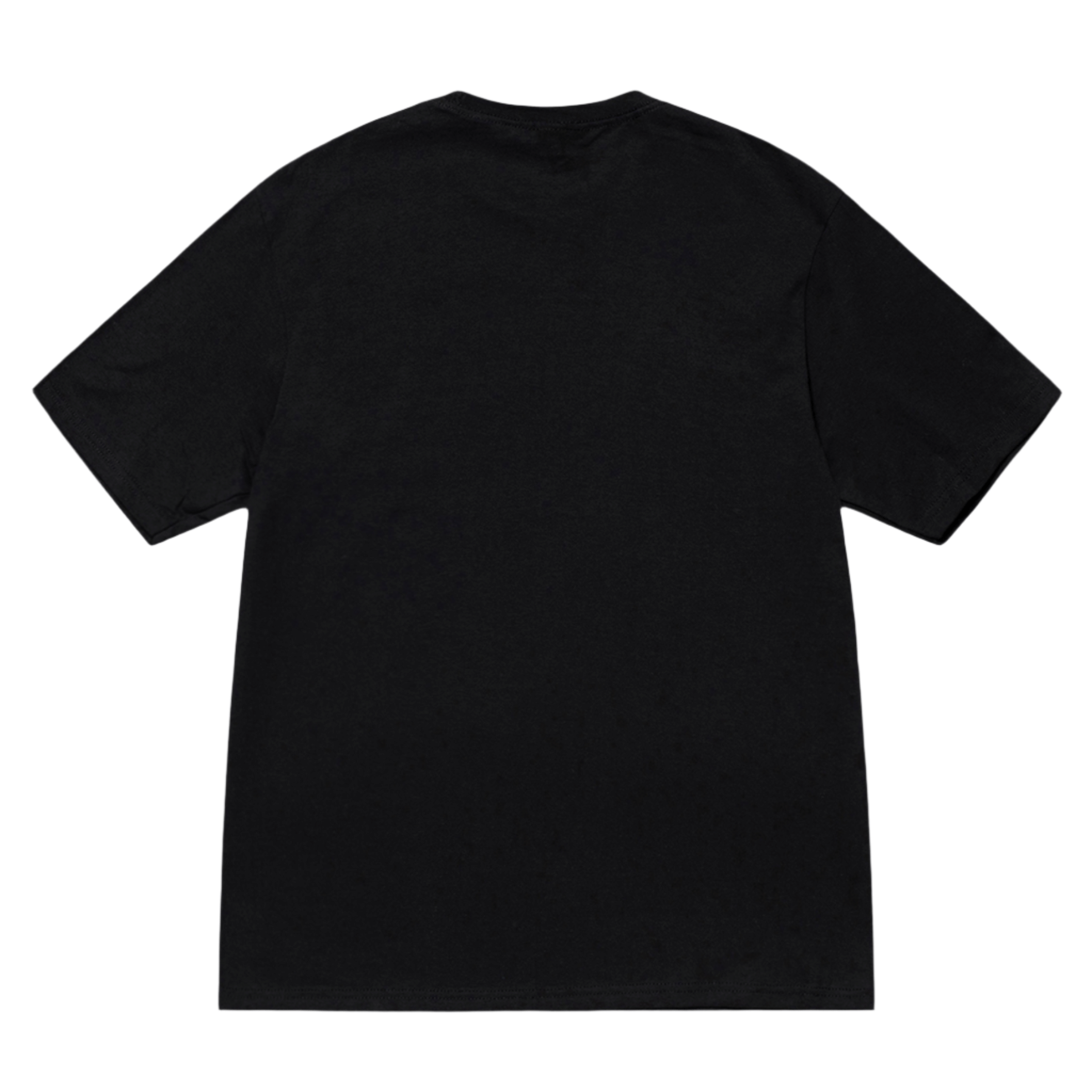 Stussy Champion T-Shirt Black