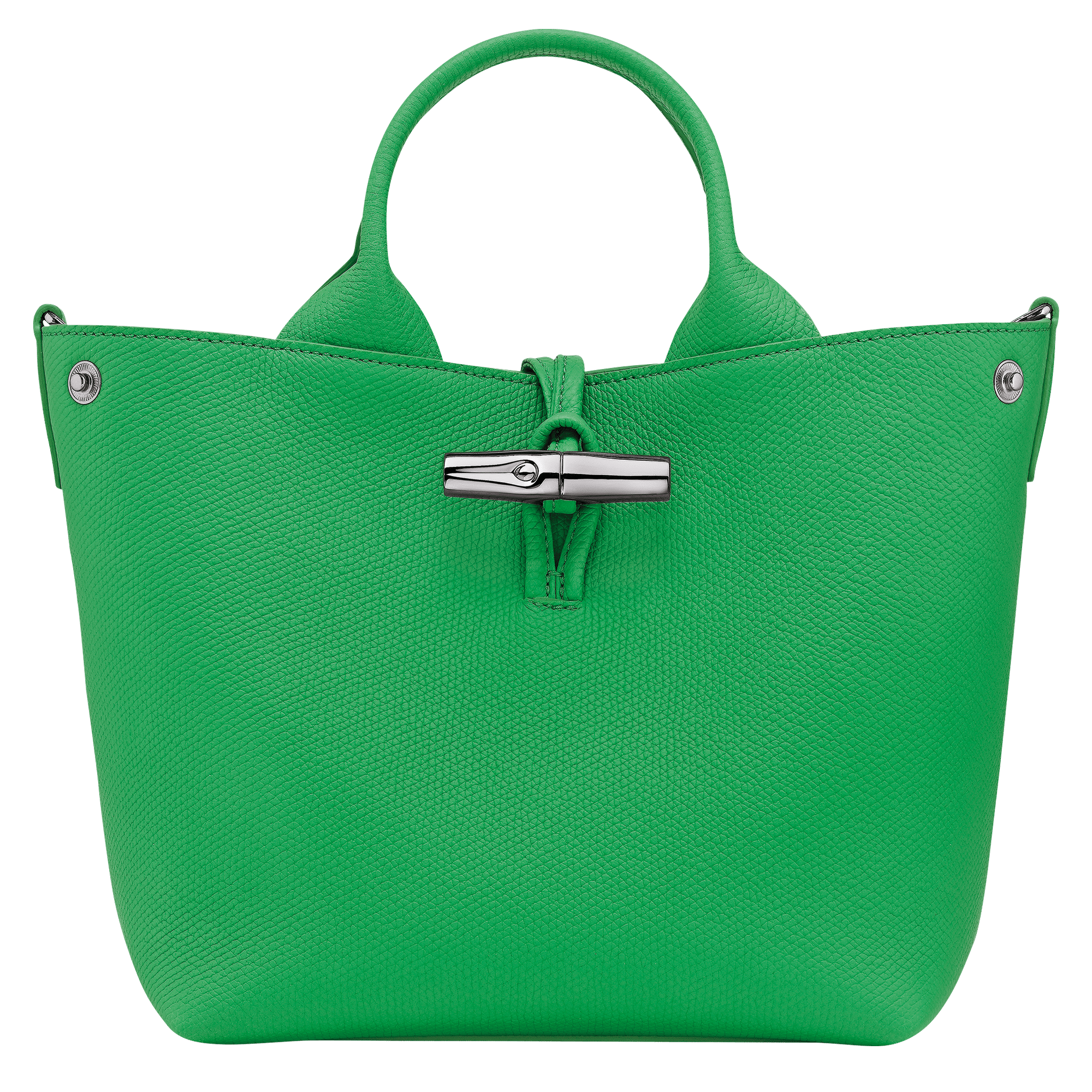 Long Champ Longchamp Le Roseau S Handbag Spring Green