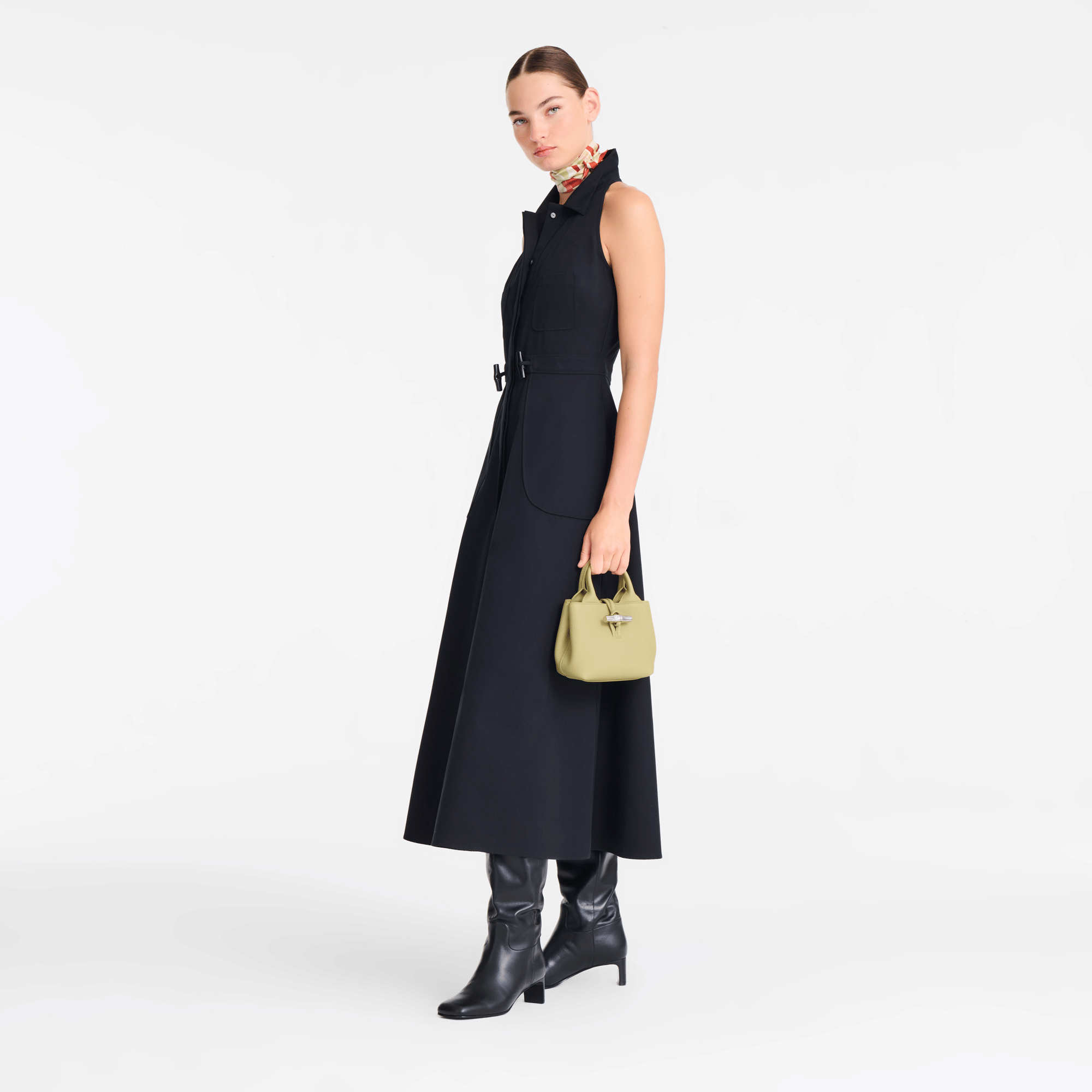 Long Champ Longchamp Le Roseau XS Handbag Pistachio