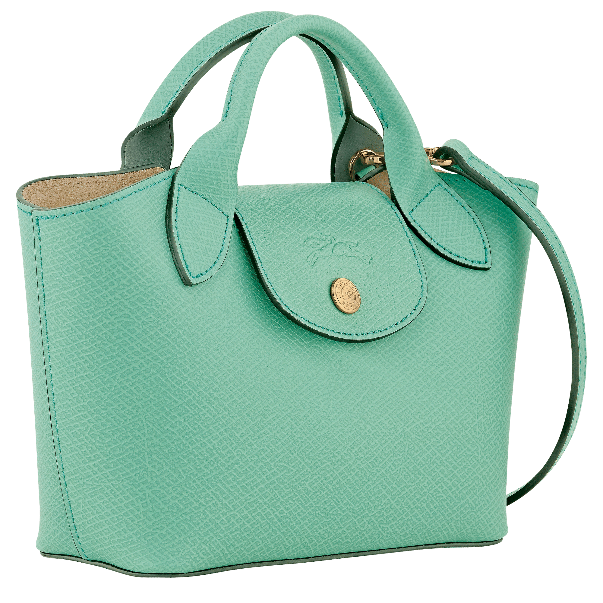 Long Champ Longchamp Épure XS Tote bag Mint