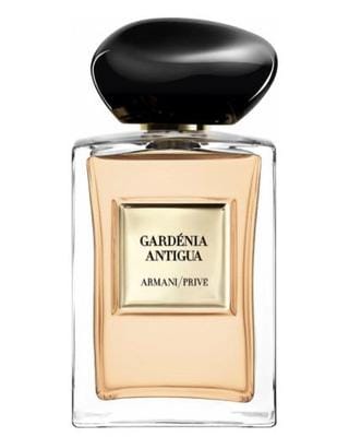 Armani Gardénia Antigua