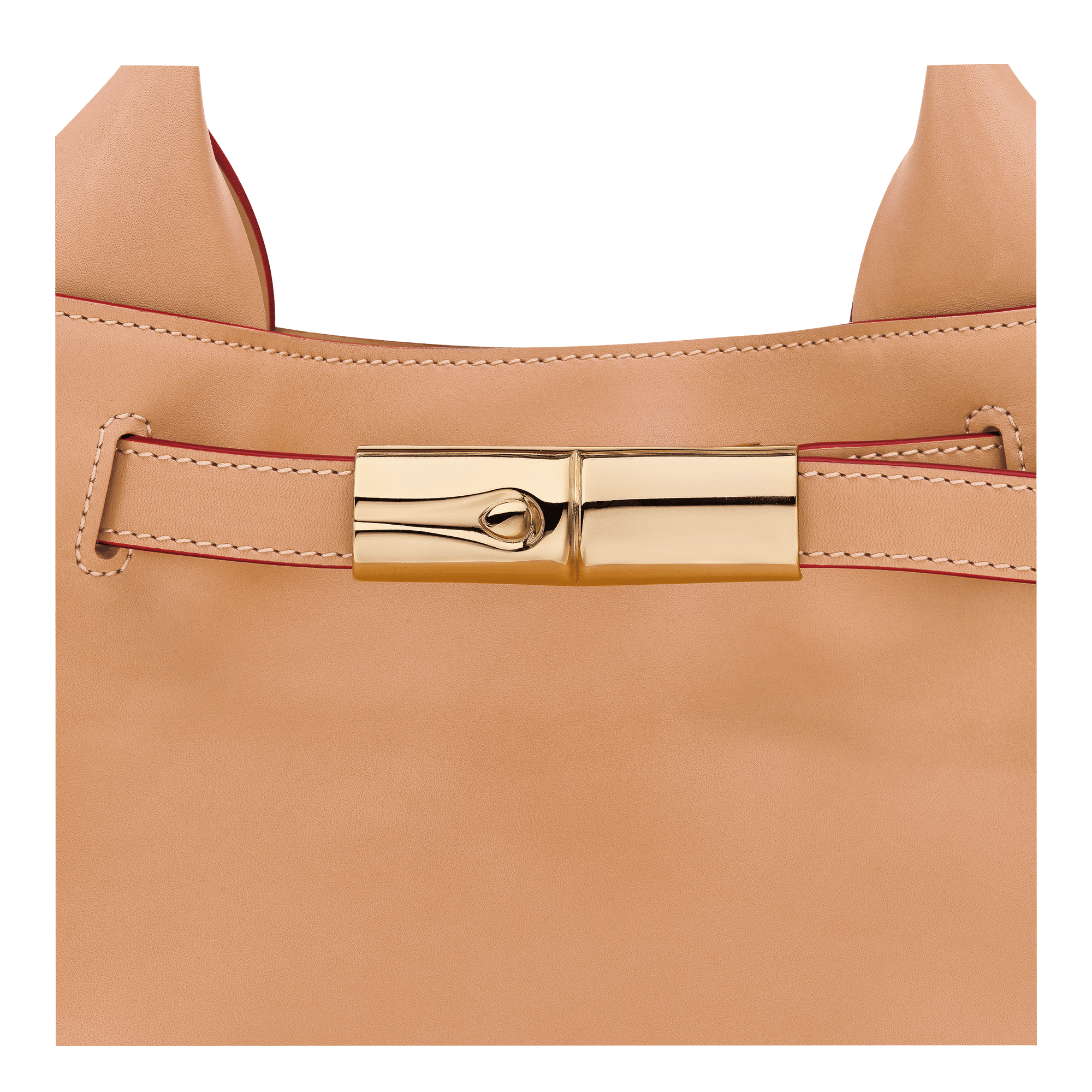 Long Champ Longchamp Le Smart Handbag Vegetal