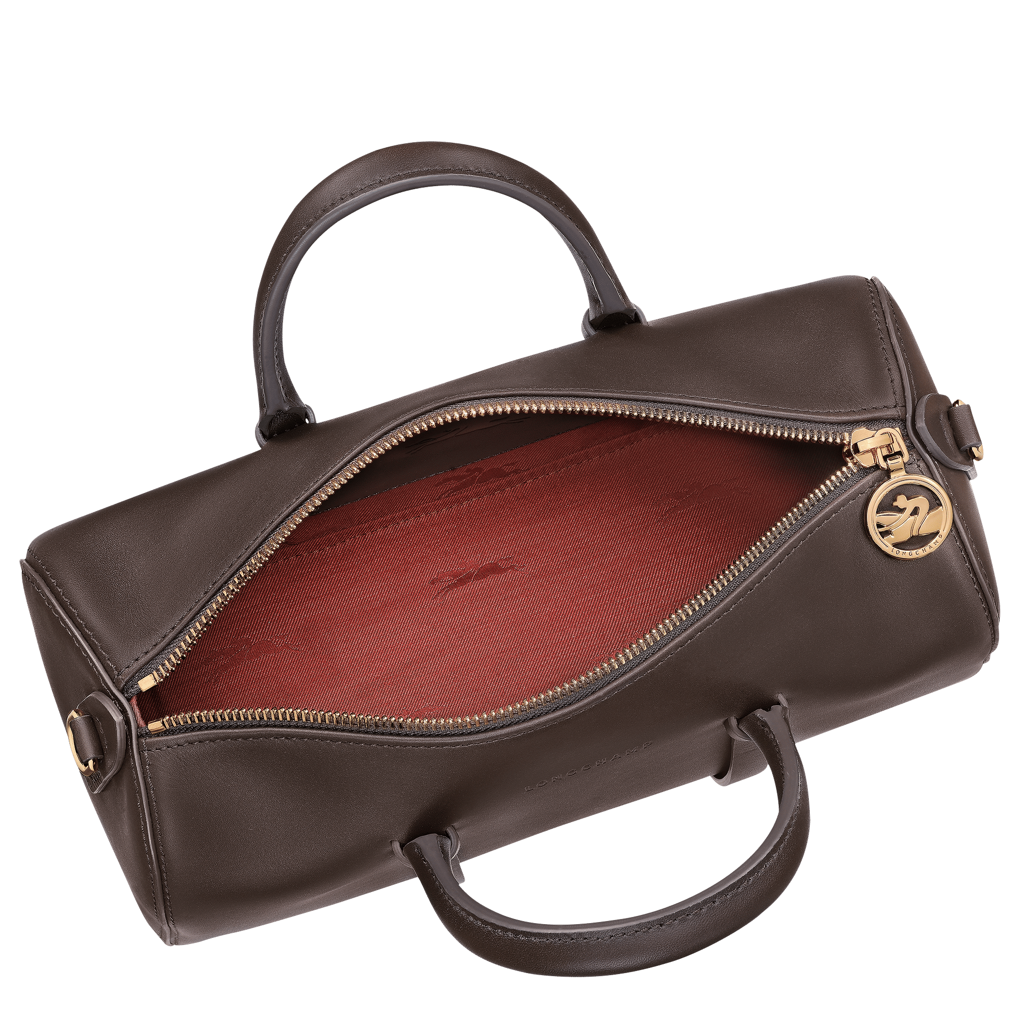 Long Champ Longchamp Daylong M Handbag Mocha